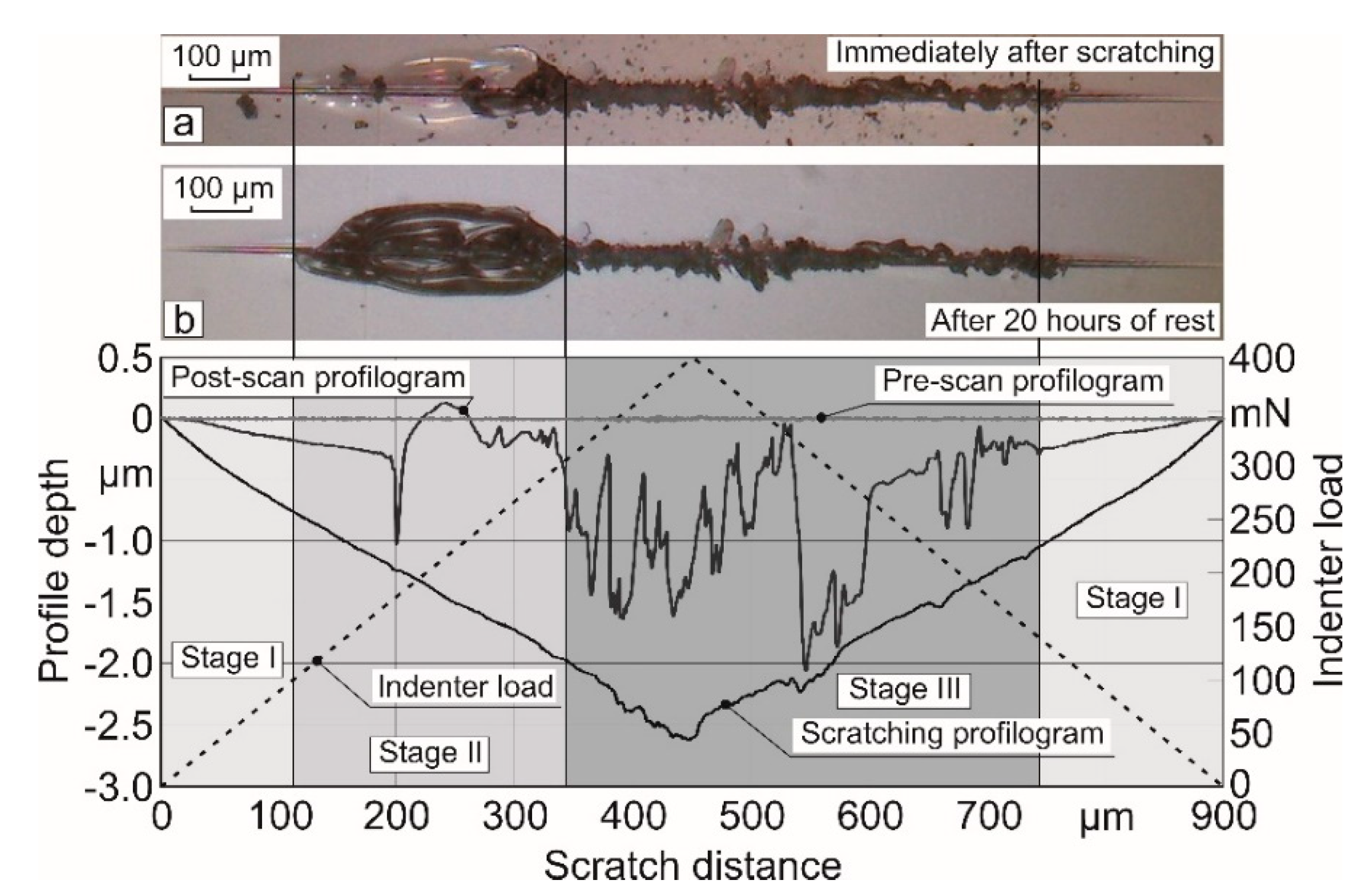 Surfaces 03 00016 g005