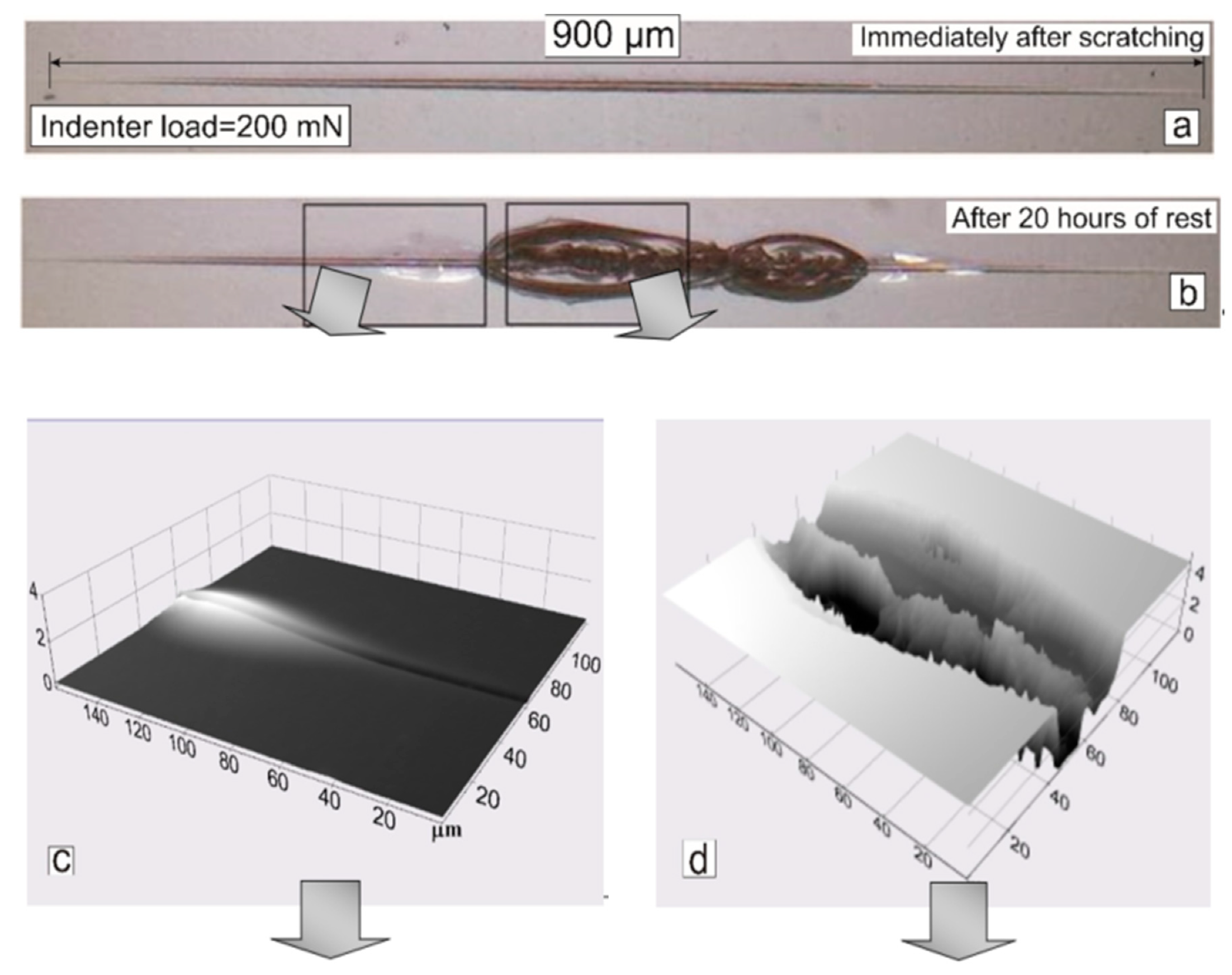 Surfaces 03 00016 g007a