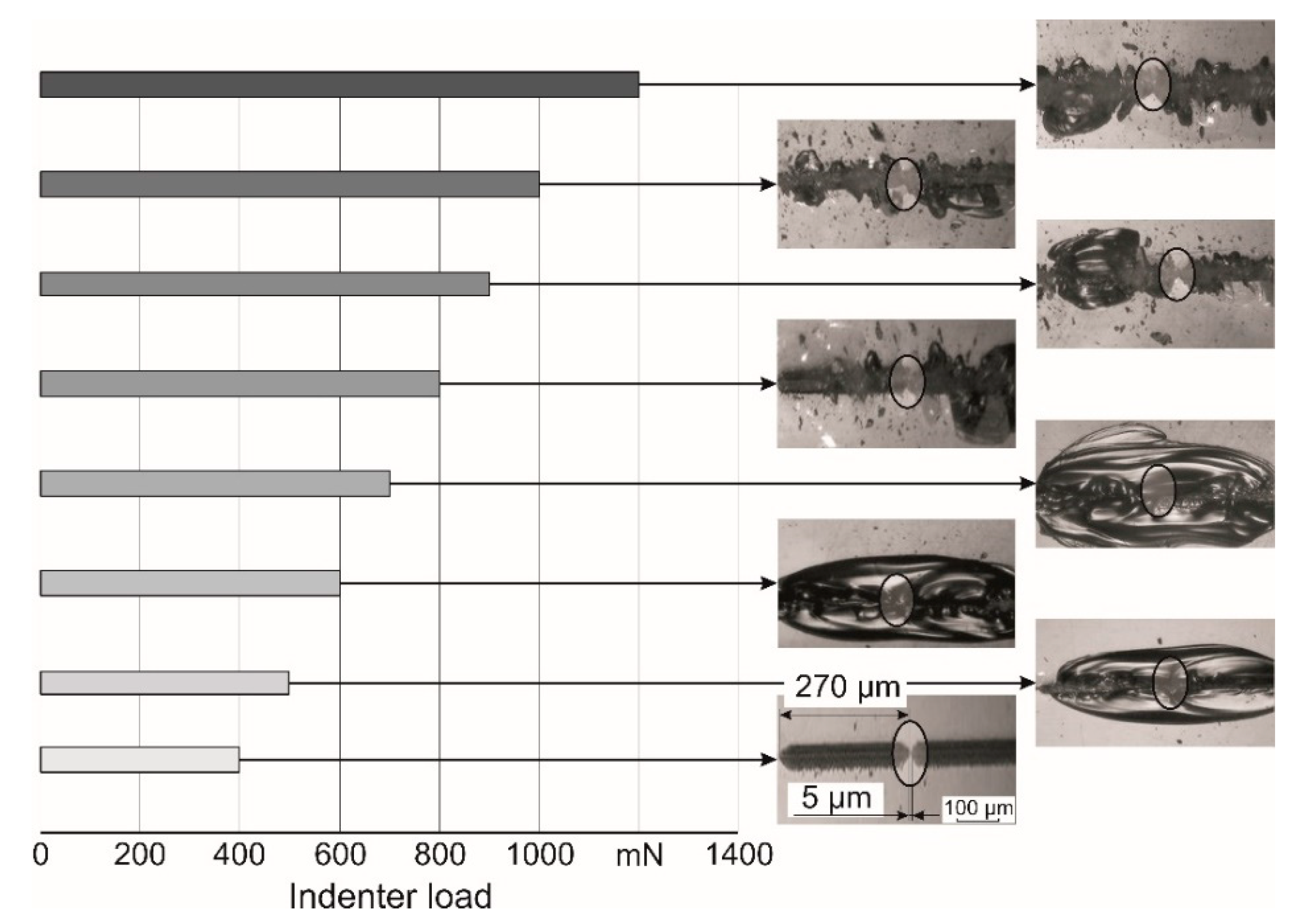 Surfaces 03 00016 g010