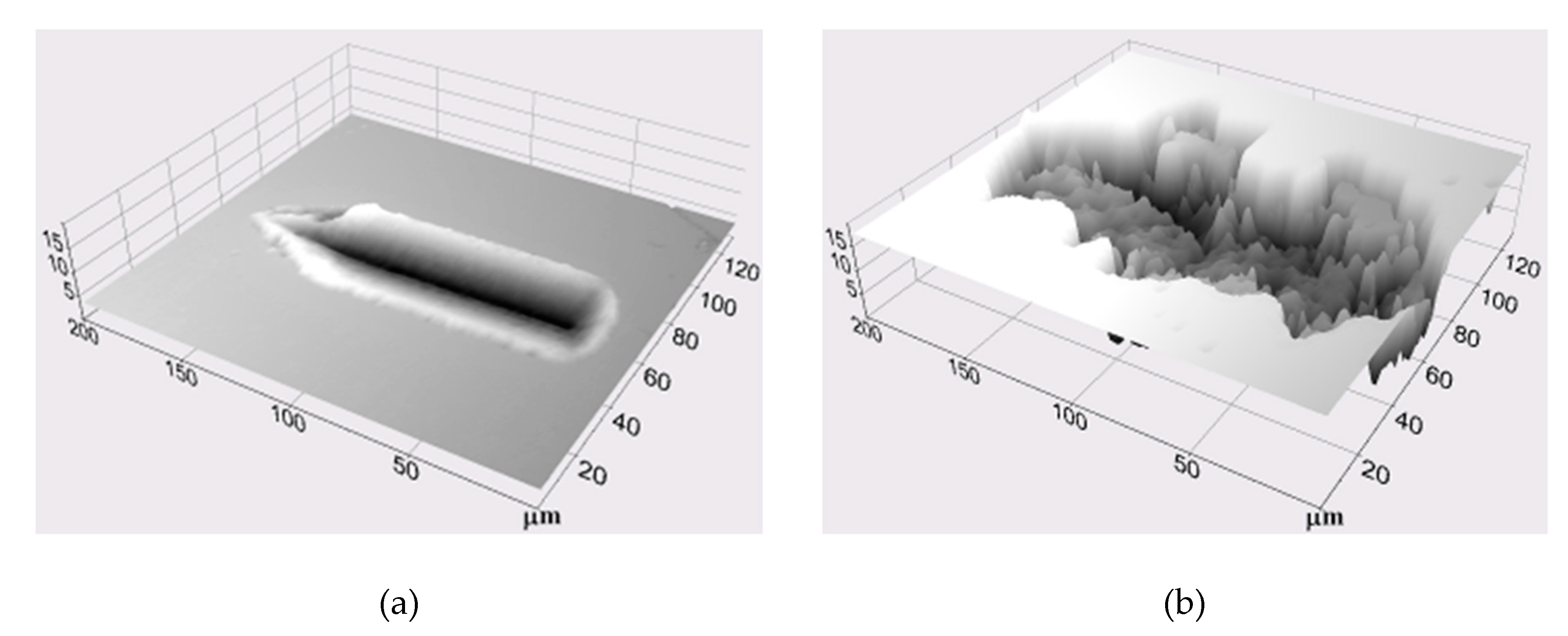 Surfaces 03 00016 g011