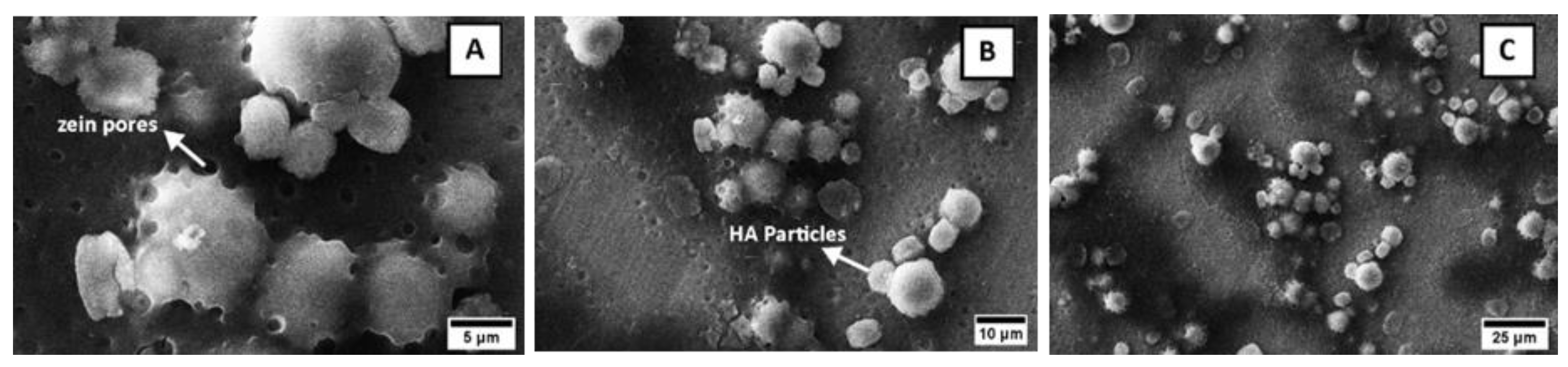 Surfaces 03 00018 g002 Surfaces 03 00018 g002