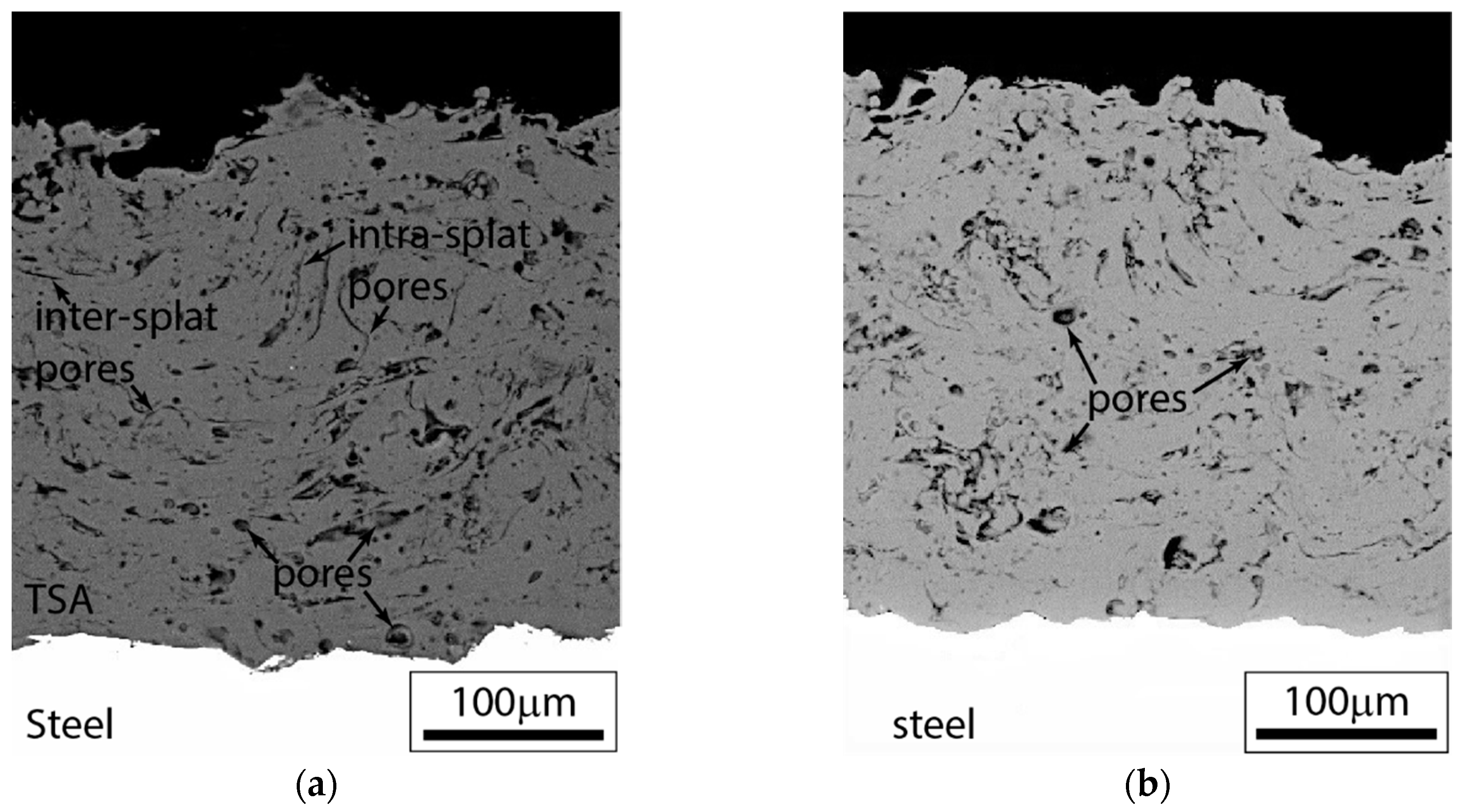 Surfaces 03 00021 g005