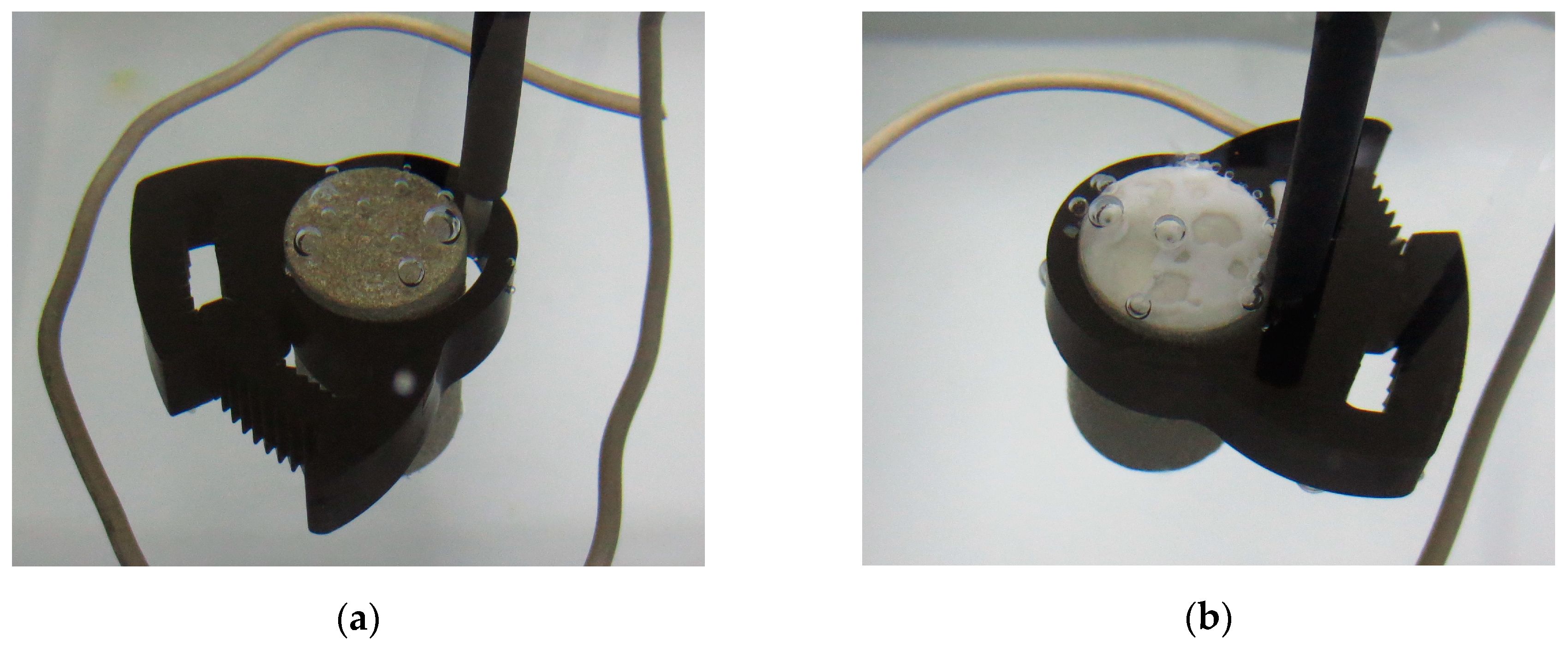 Surfaces 03 00021 g006