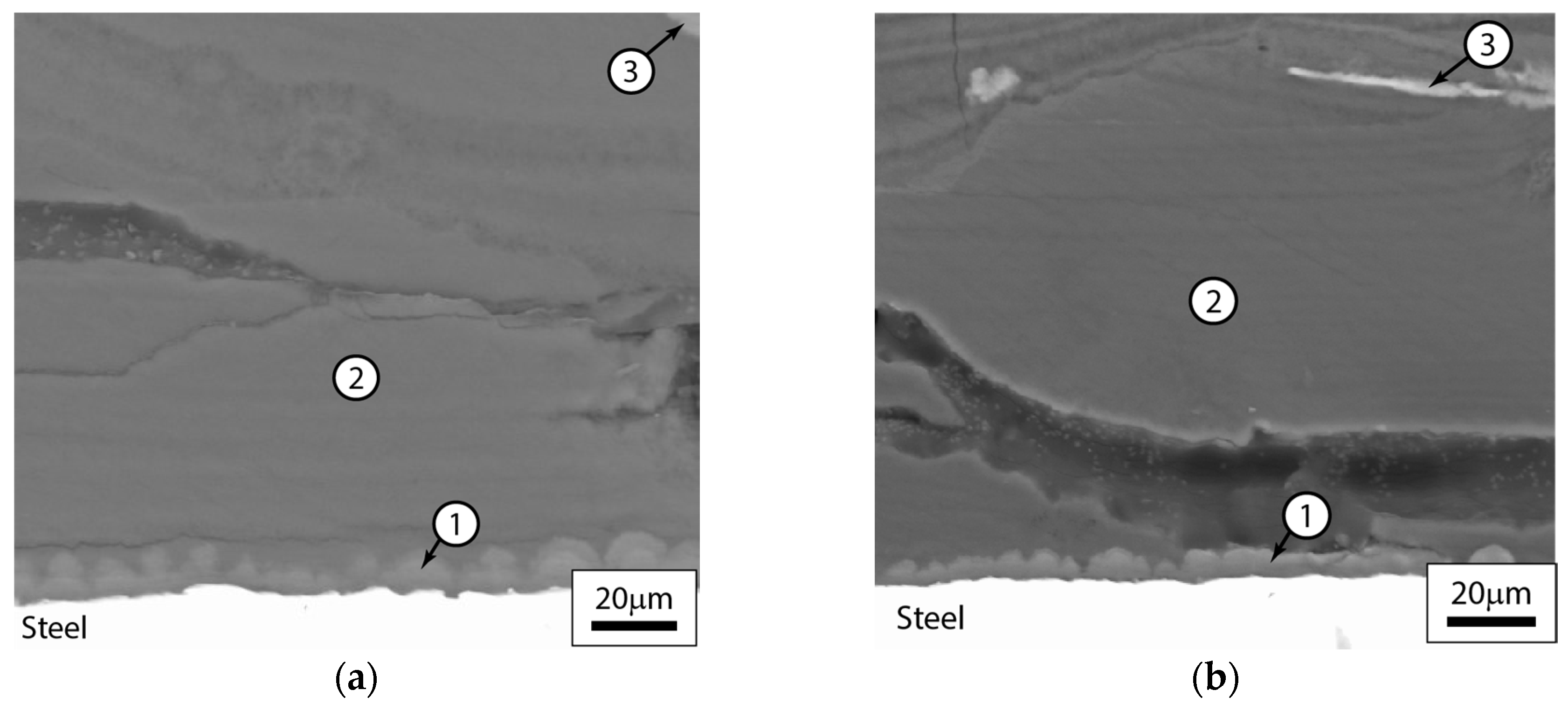 Surfaces 03 00021 g007