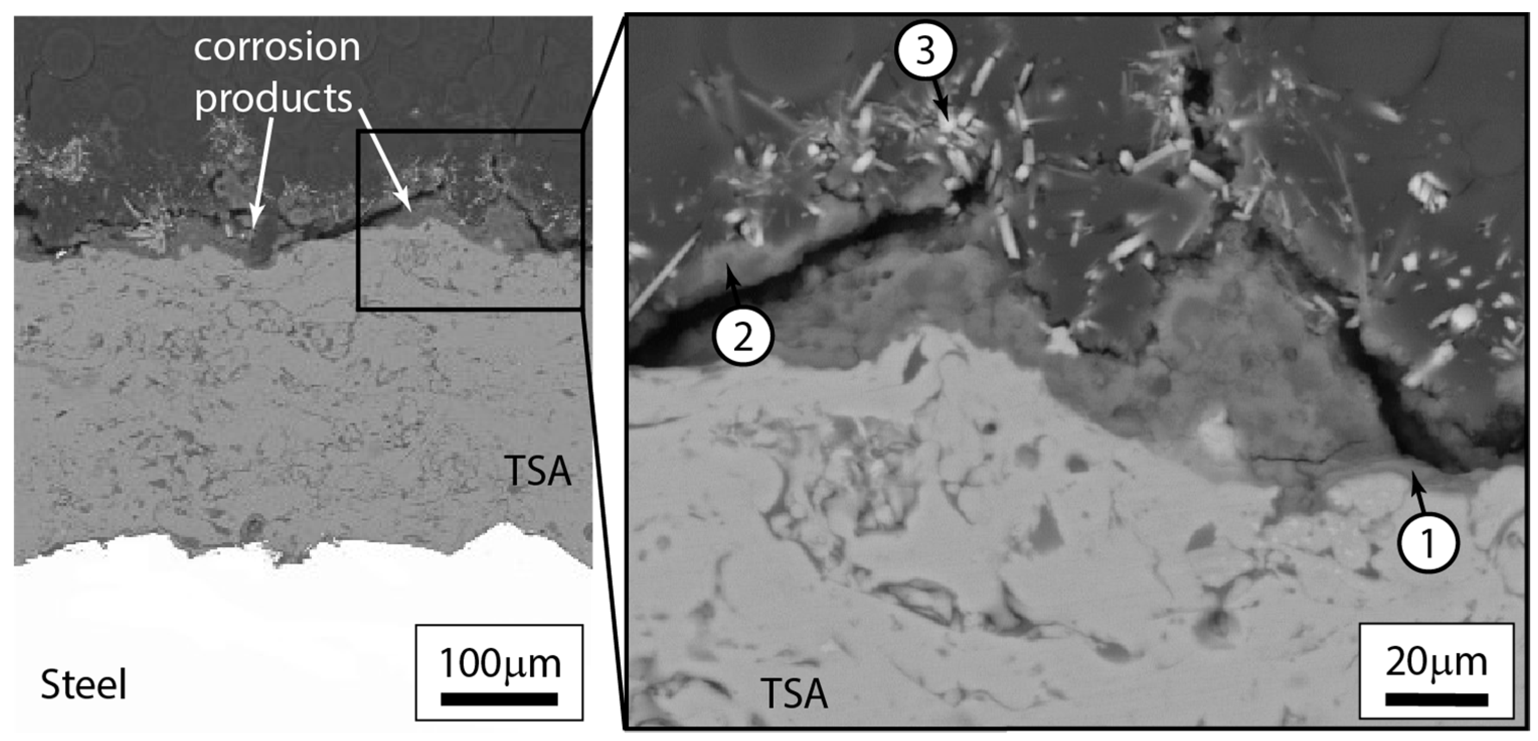 Surfaces 03 00021 g009