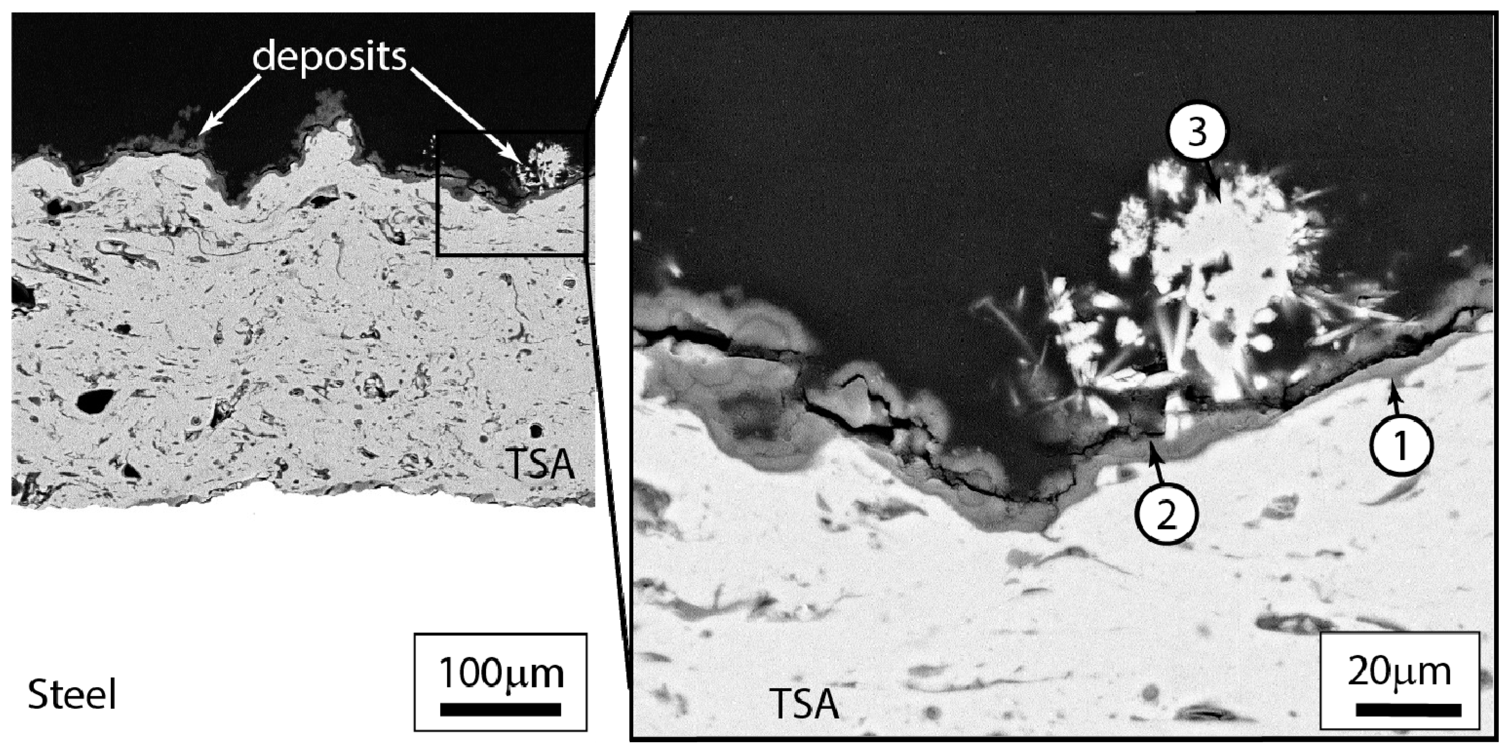 Surfaces 03 00021 g011