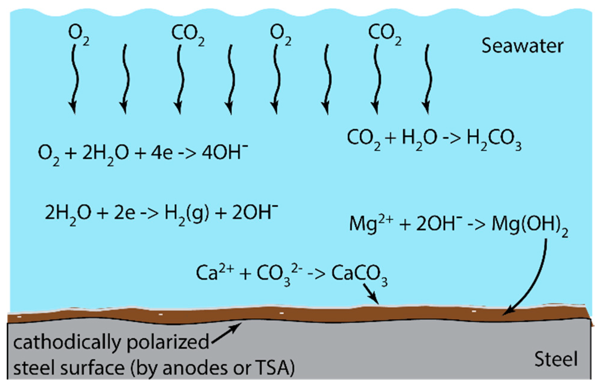 Surfaces 03 00021 g015