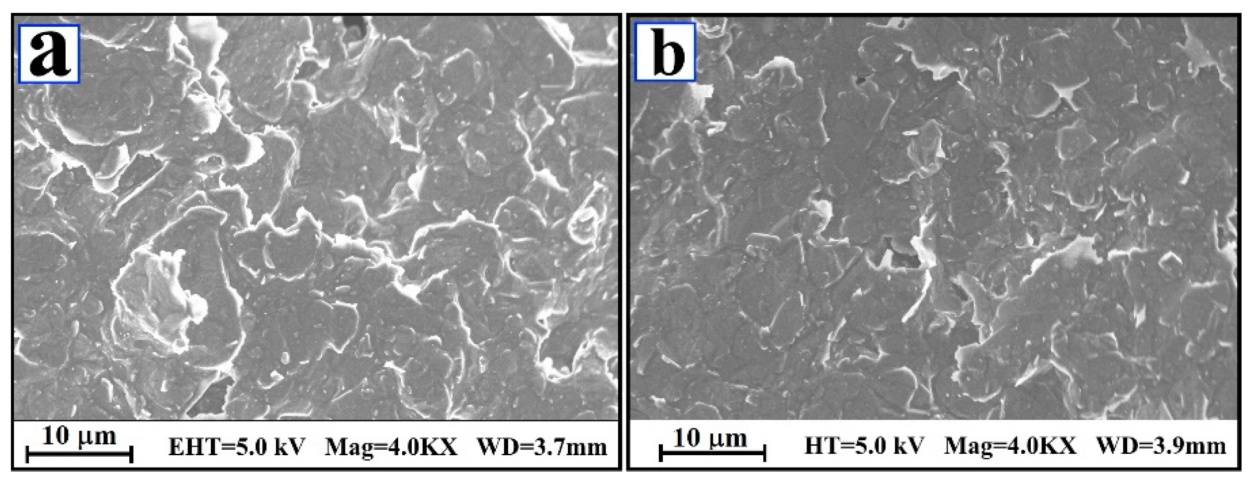 Surfaces 03 00034 g001
