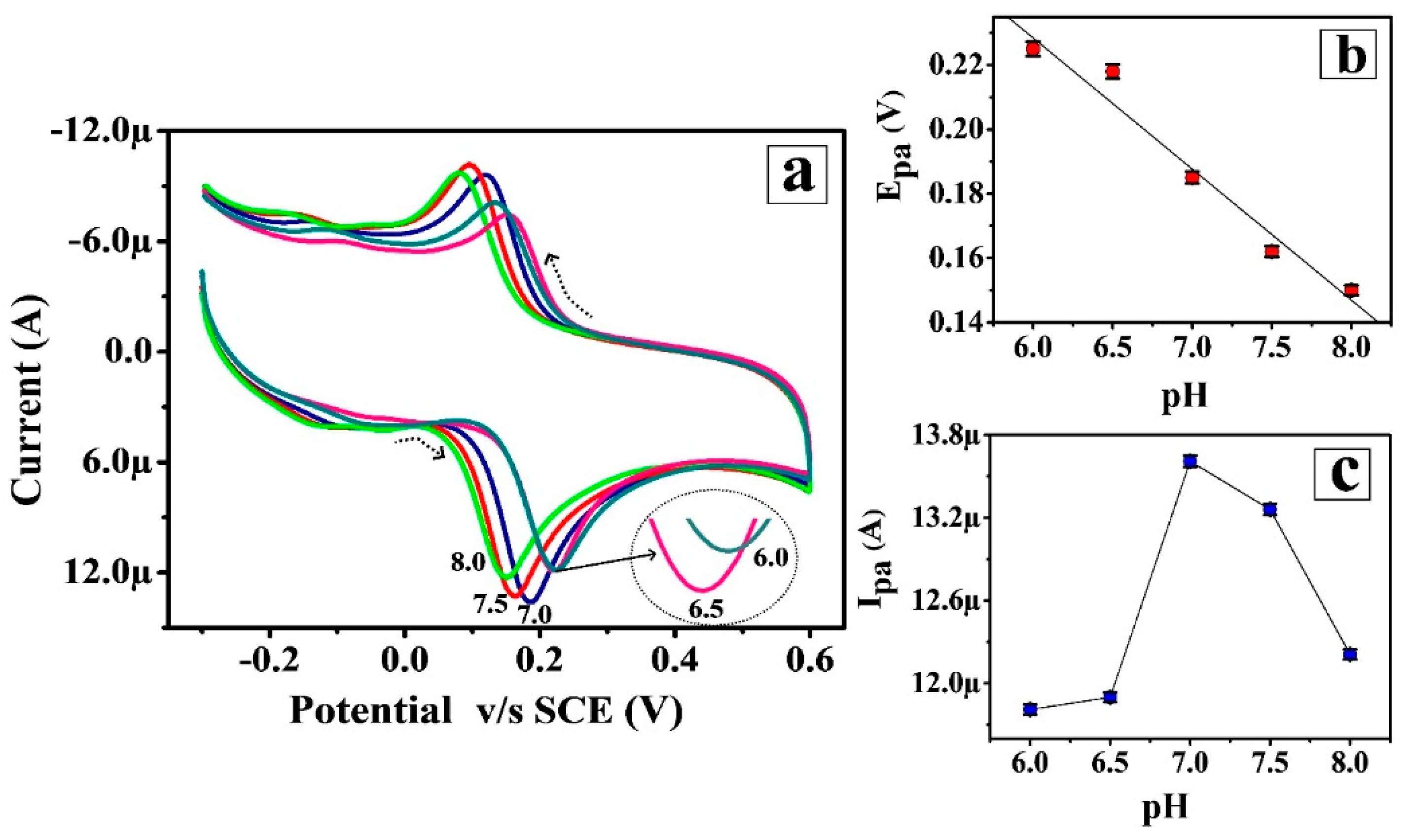 Surfaces 03 00034 g003