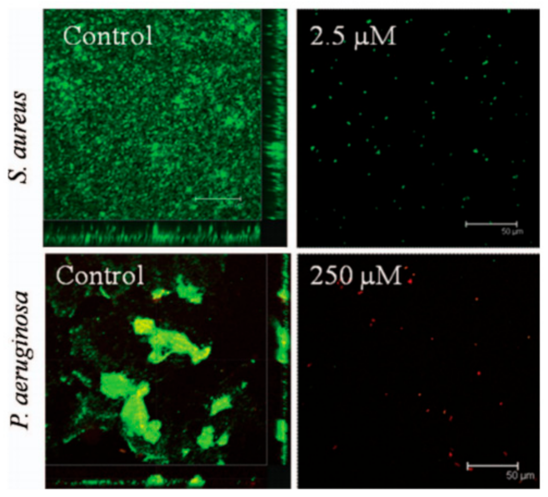 Surfaces 04 00016 g005