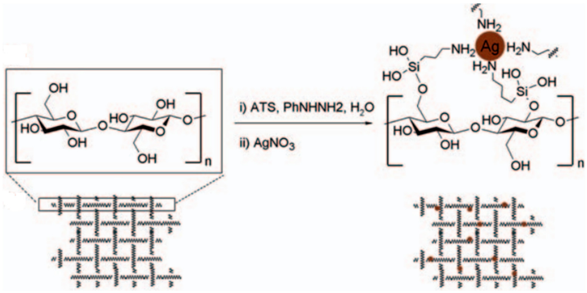 Surfaces 04 00016 g010
