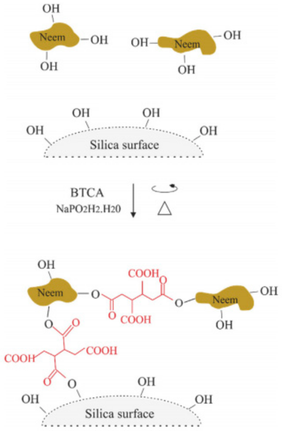 Surfaces 04 00016 g015
