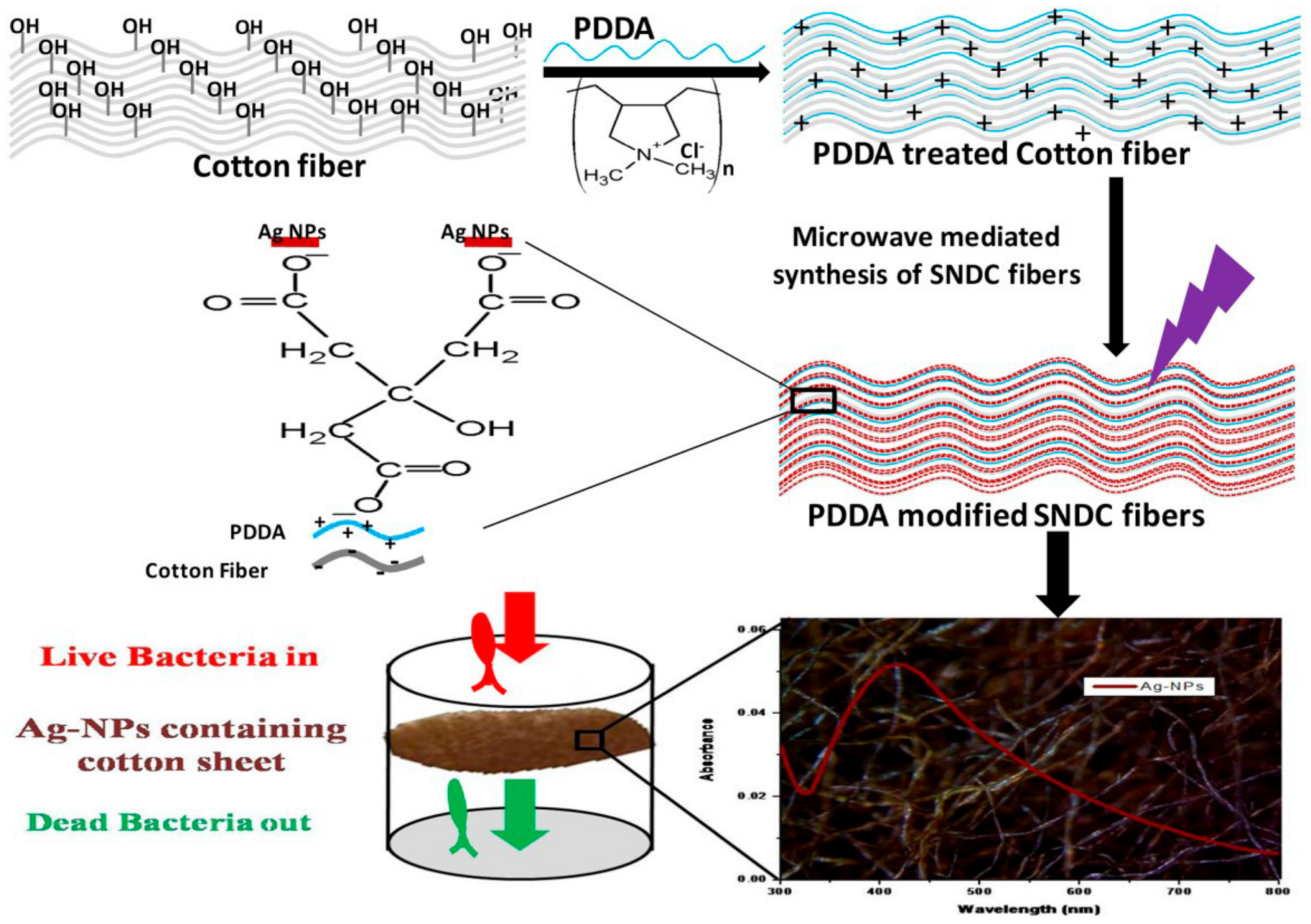 Surfaces 04 00016 g016