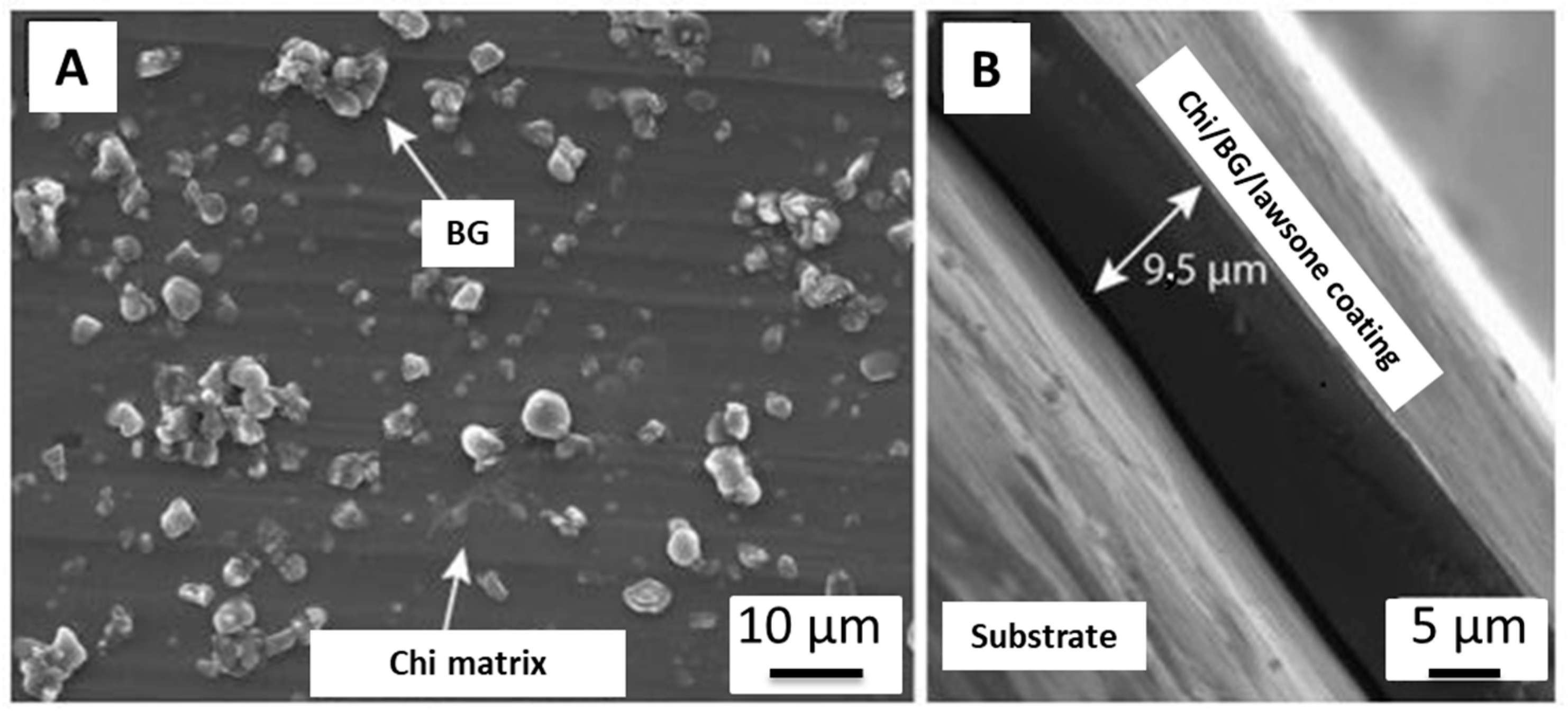 Surfaces 04 00018 g005 Surfaces 04 00018 g005