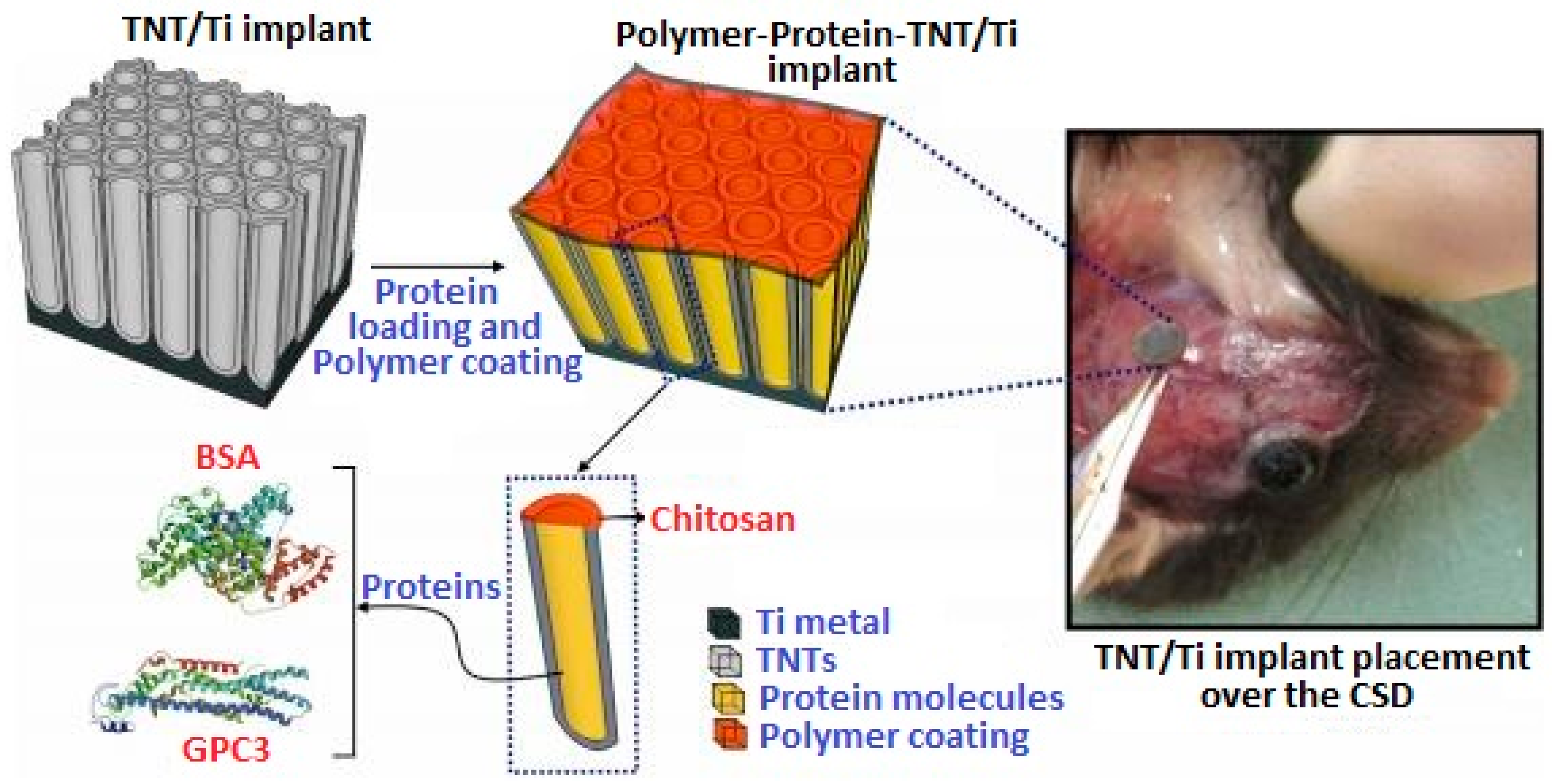 Surfaces 04 00018 g013 Surfaces 04 00018 g013