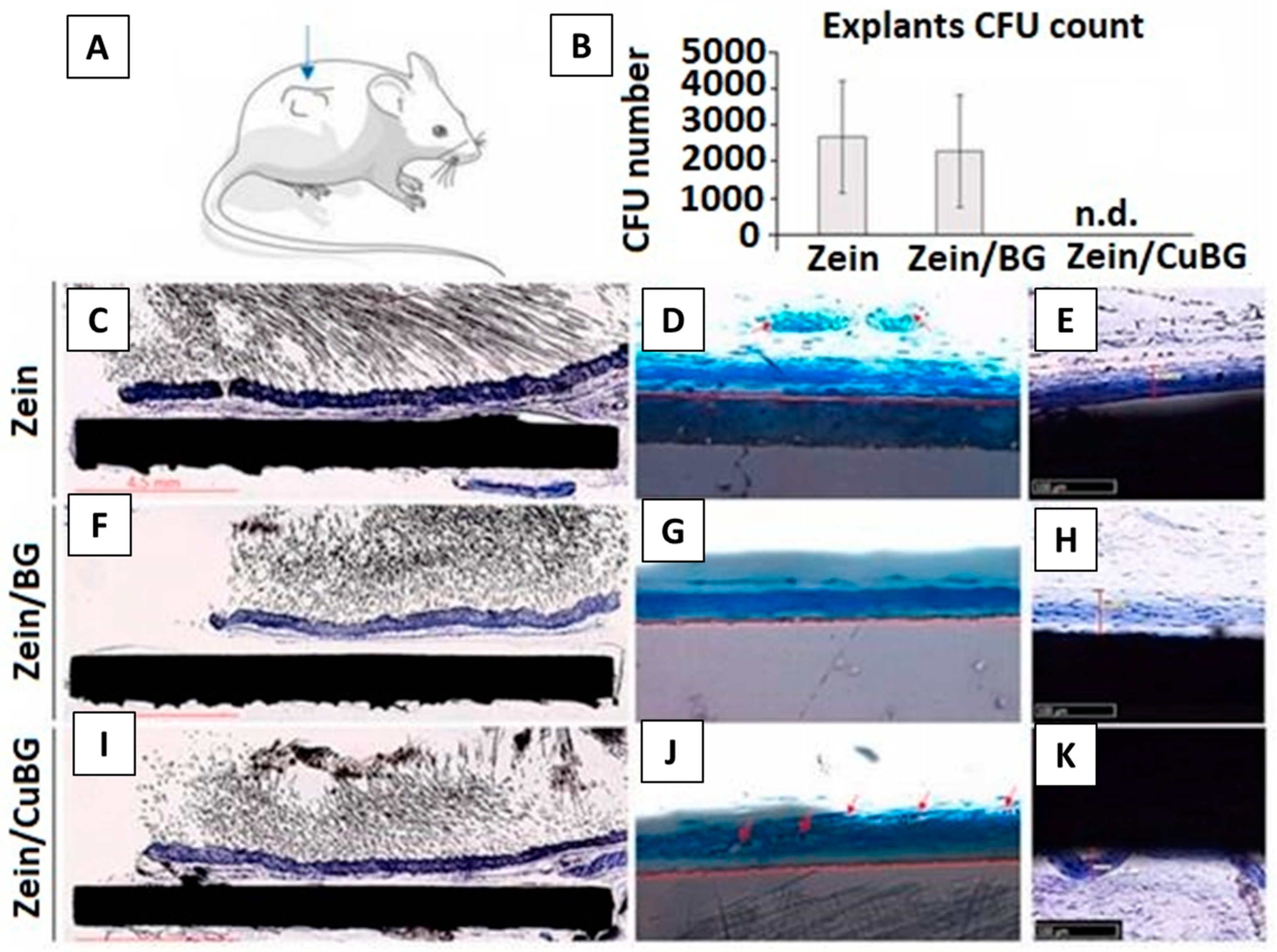 Surfaces 04 00018 g019 Surfaces 04 00018 g019