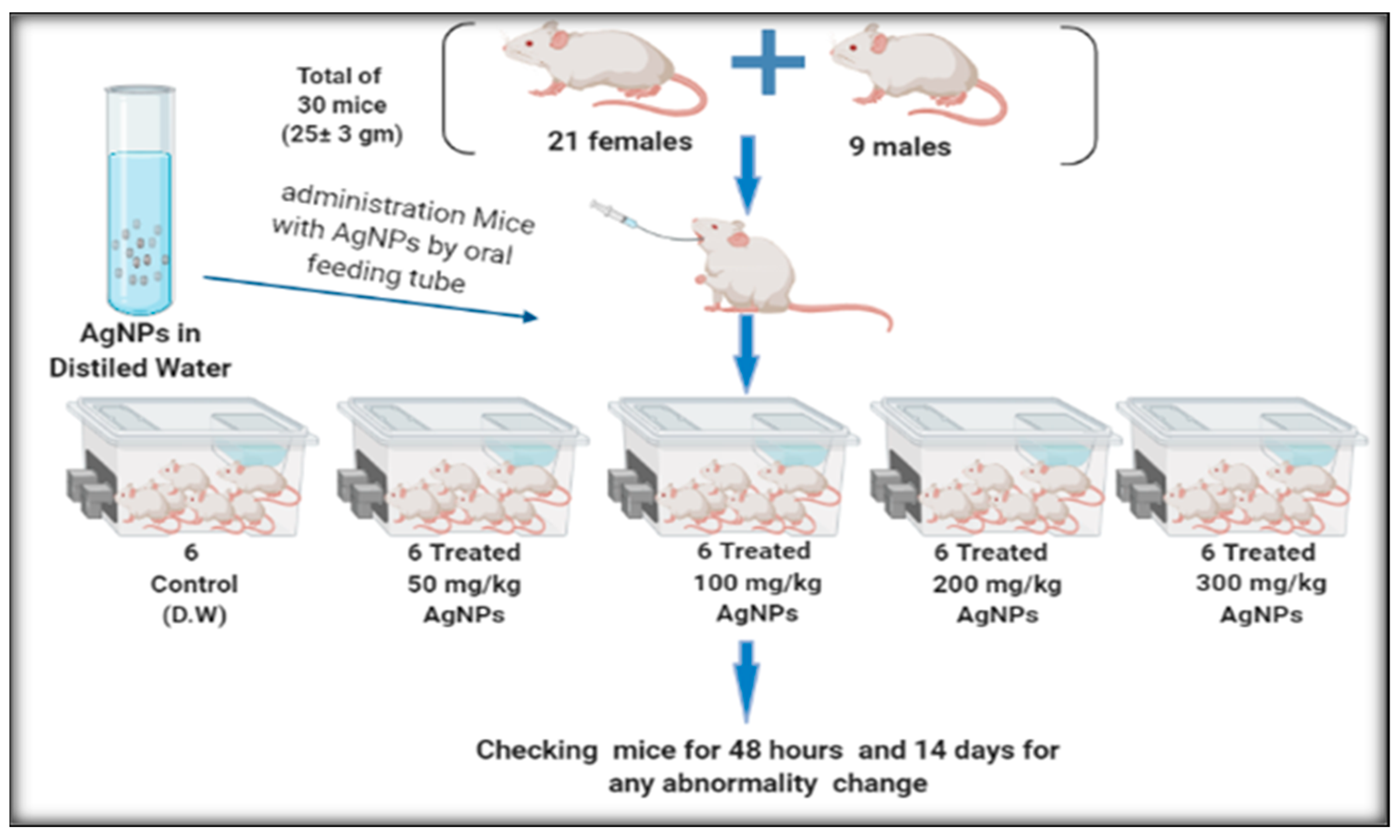 Surfaces 05 00004 g002 Surfaces 05 00004 g002