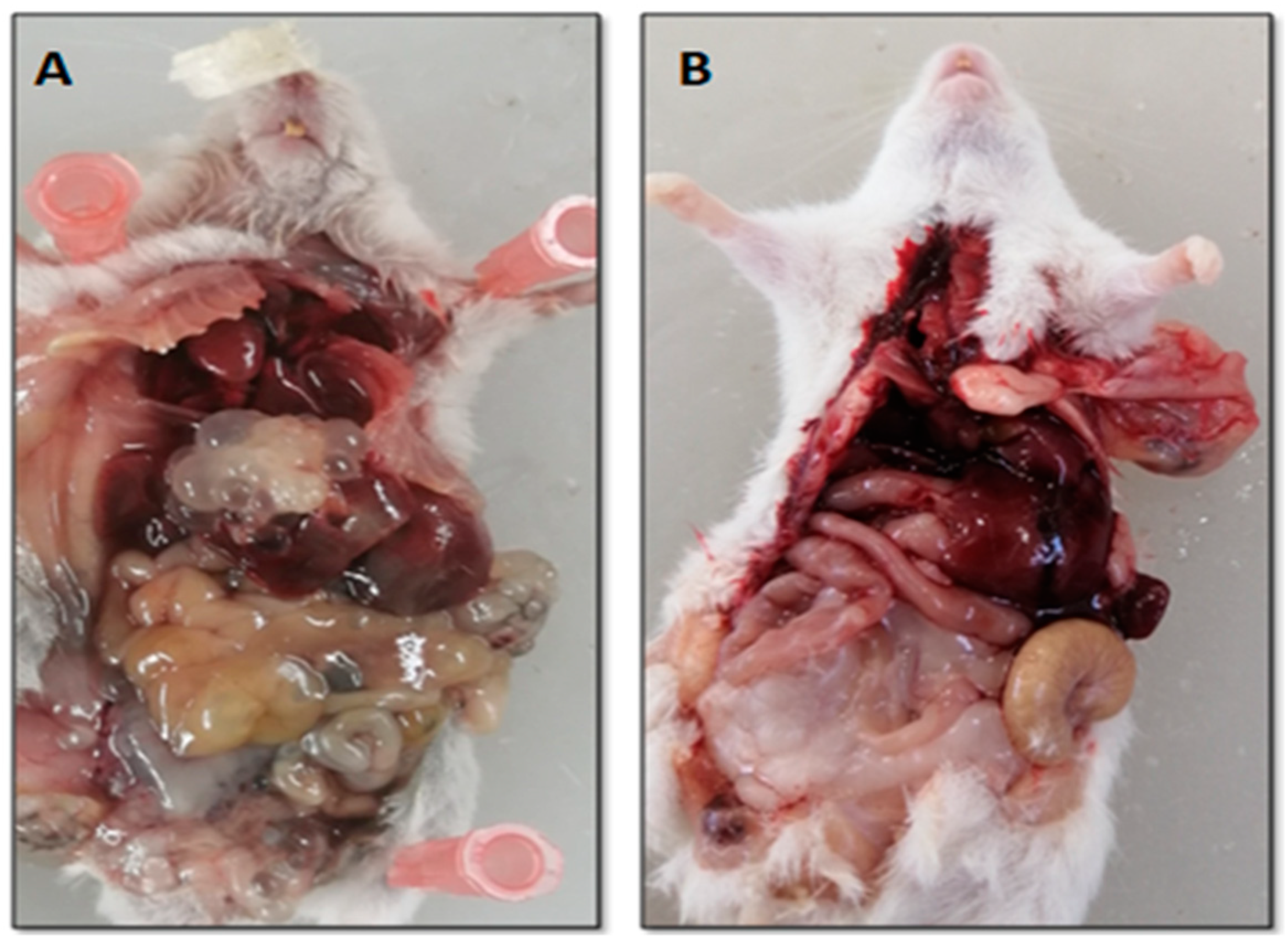 Surfaces 05 00004 g005 Surfaces 05 00004 g005