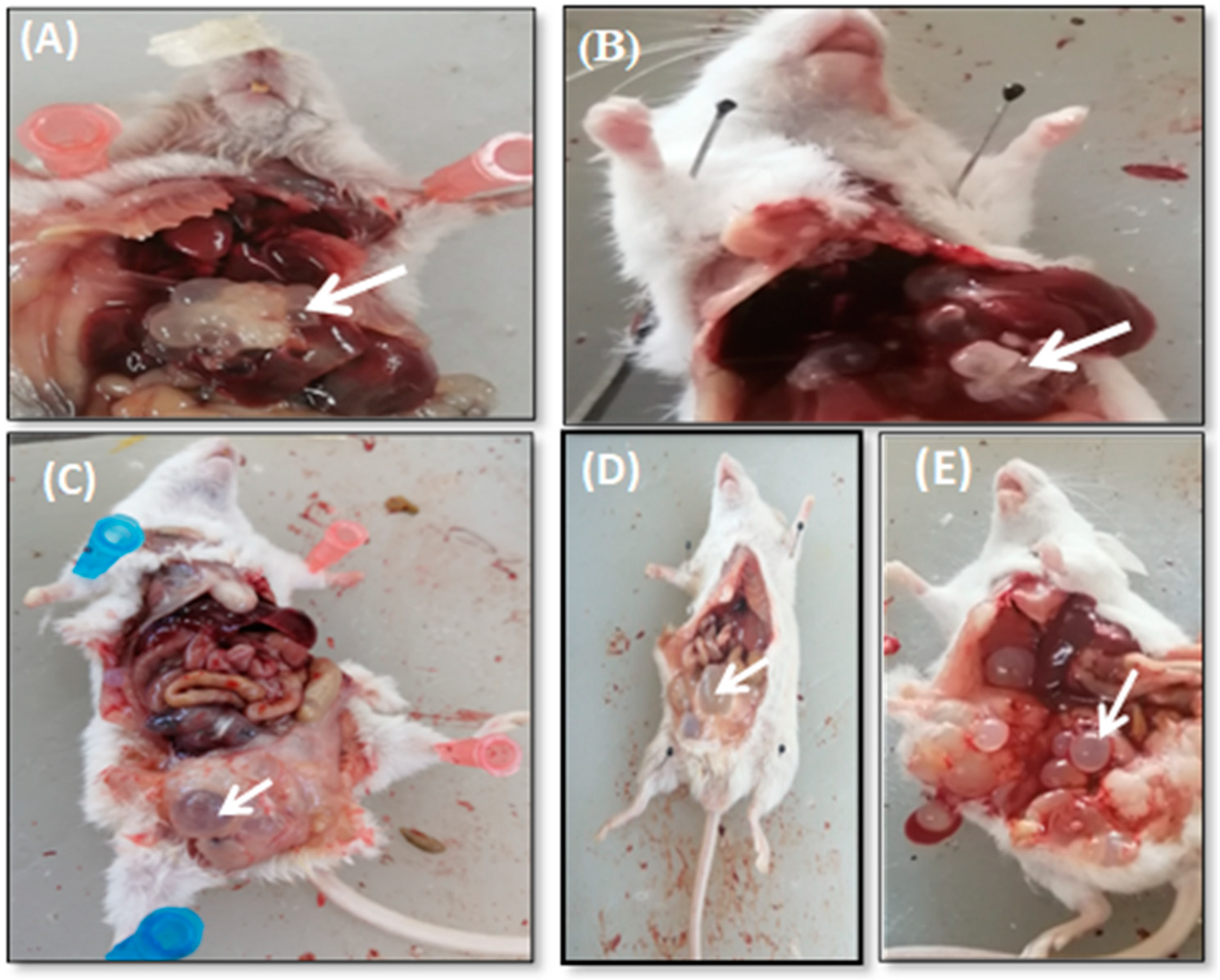 Surfaces 05 00004 g006 Surfaces 05 00004 g006