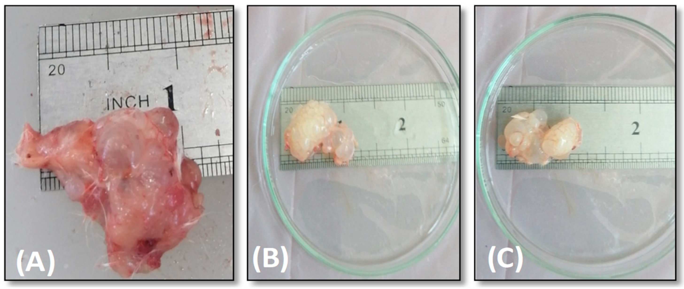 Surfaces 05 00004 g007 Surfaces 05 00004 g007