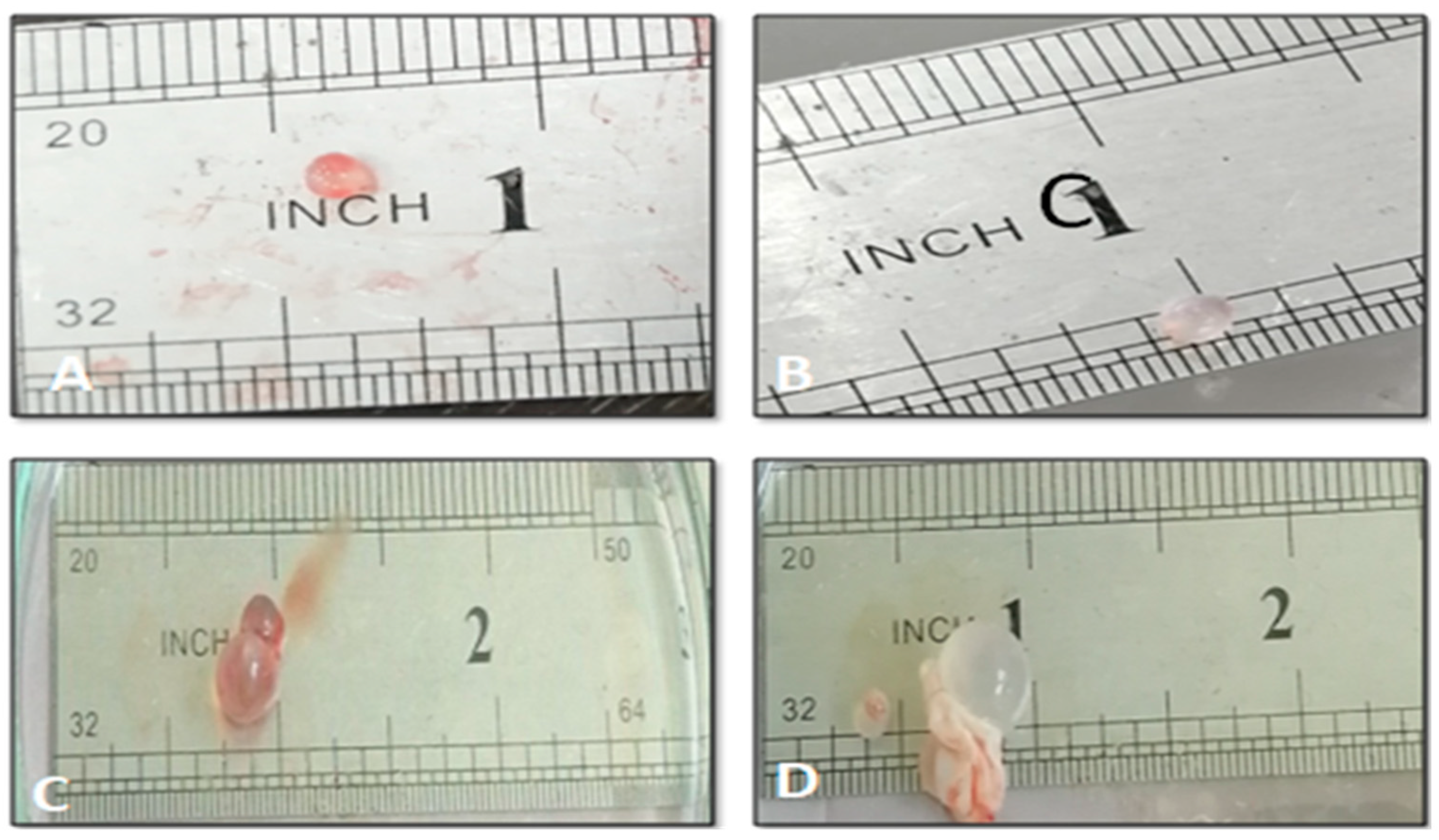 Surfaces 05 00004 g008 Surfaces 05 00004 g008