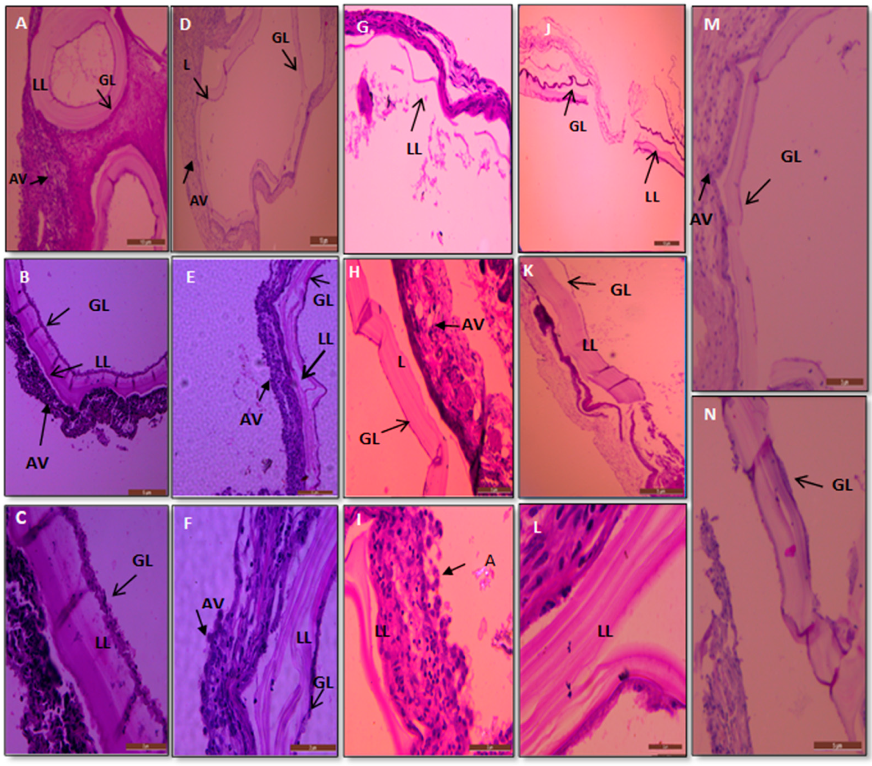 Surfaces 05 00004 g010 Surfaces 05 00004 g010