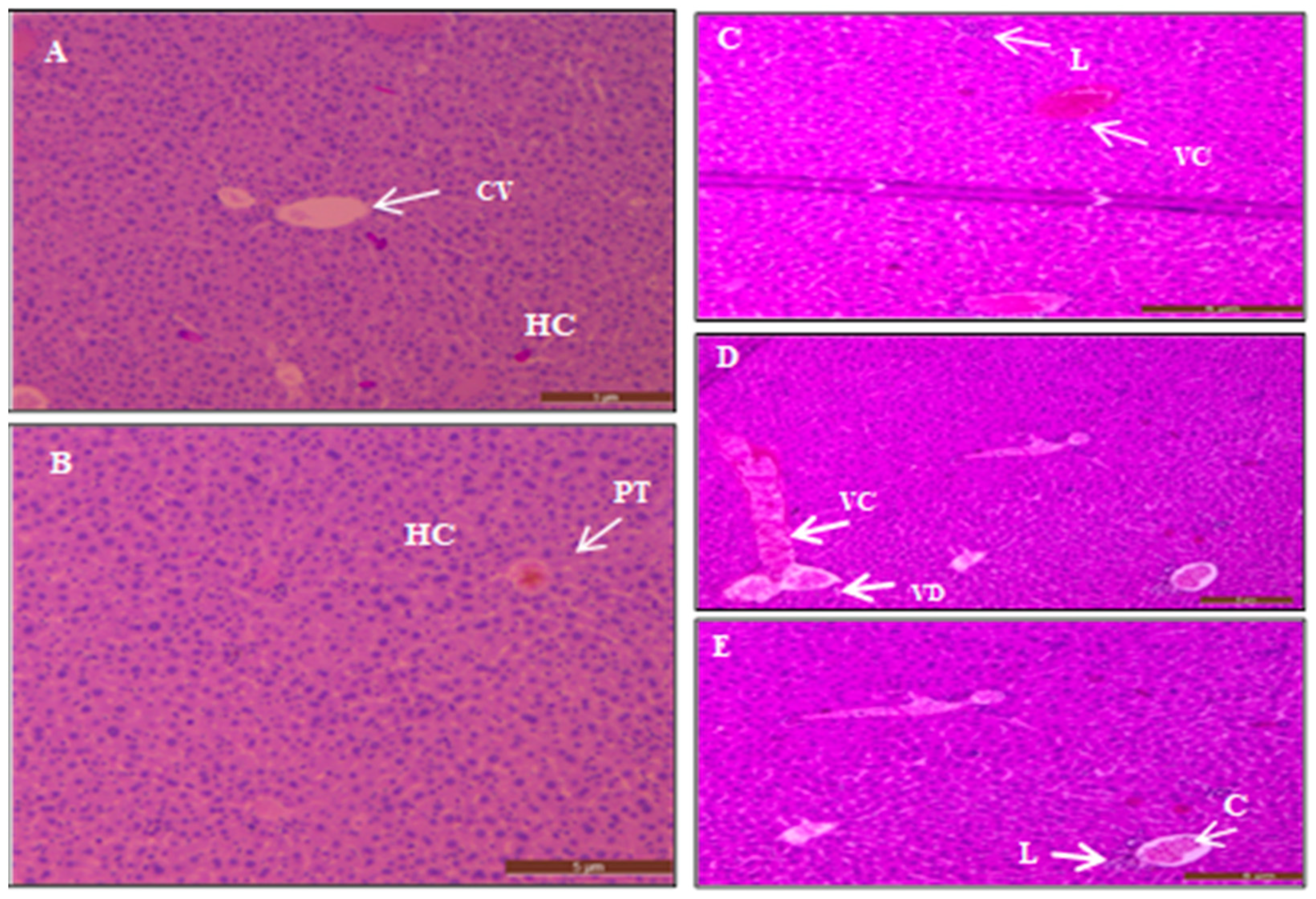 Surfaces 05 00004 g011 Surfaces 05 00004 g011