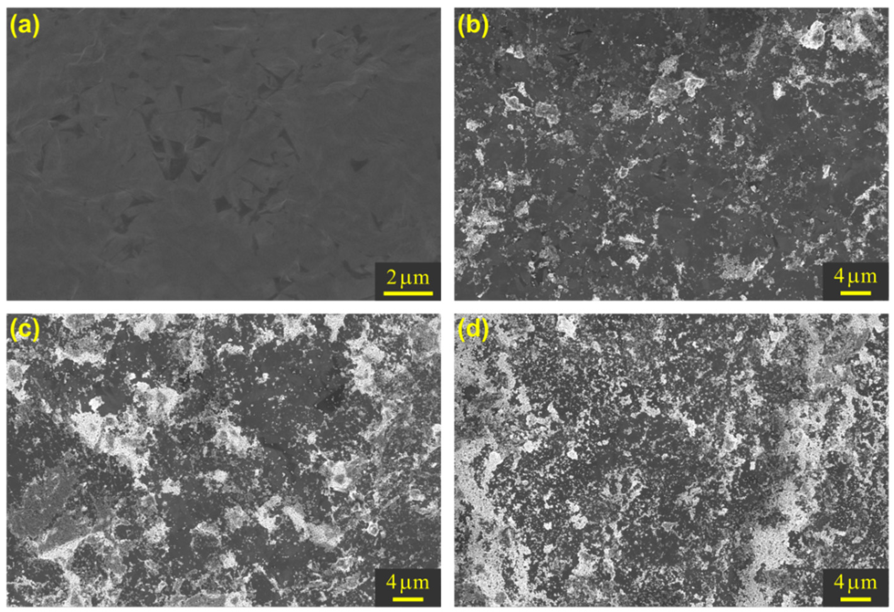 Surfaces 05 00006 g003