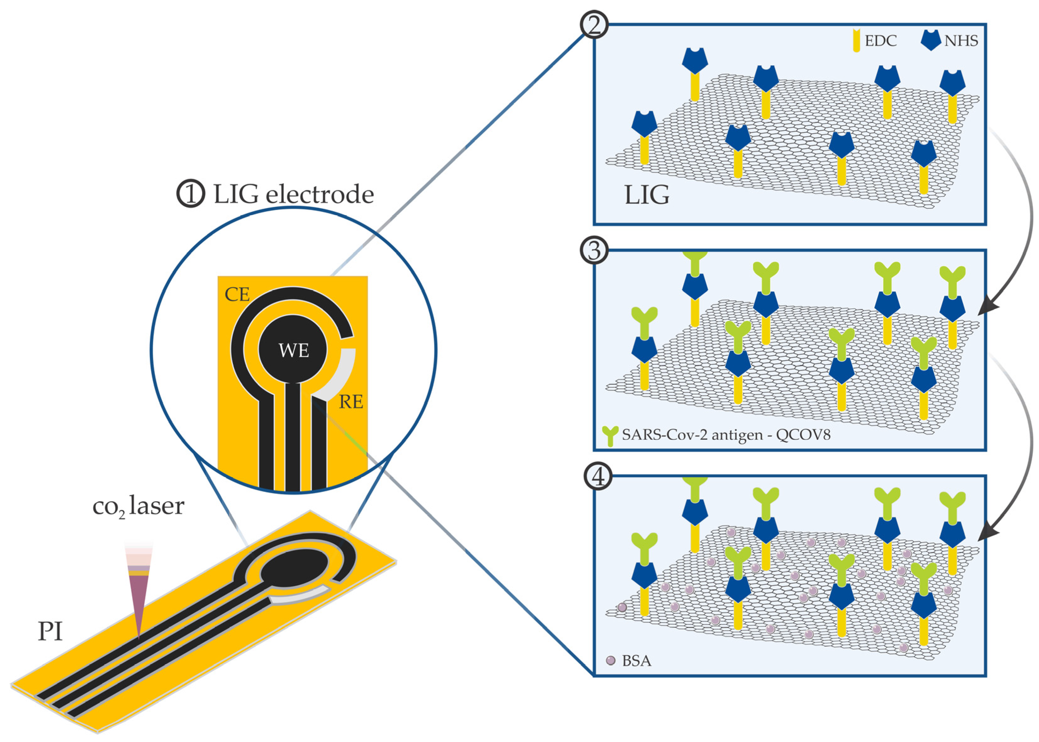 Surfaces 05 00012 g001