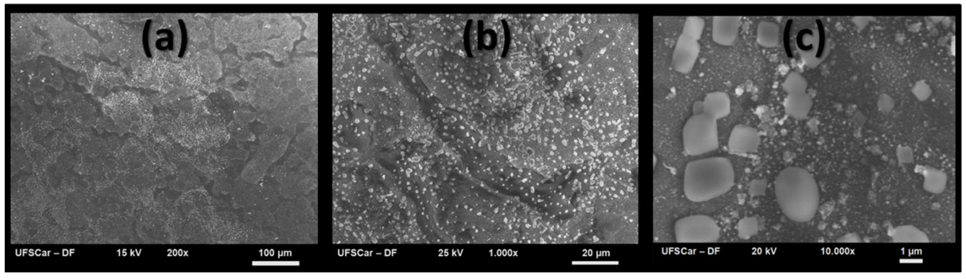 Surfaces 05 00014 g003 550