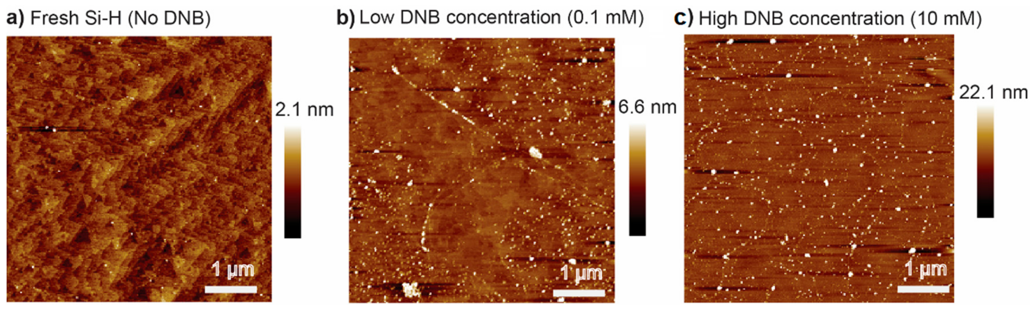 Surfaces 05 00015 g002