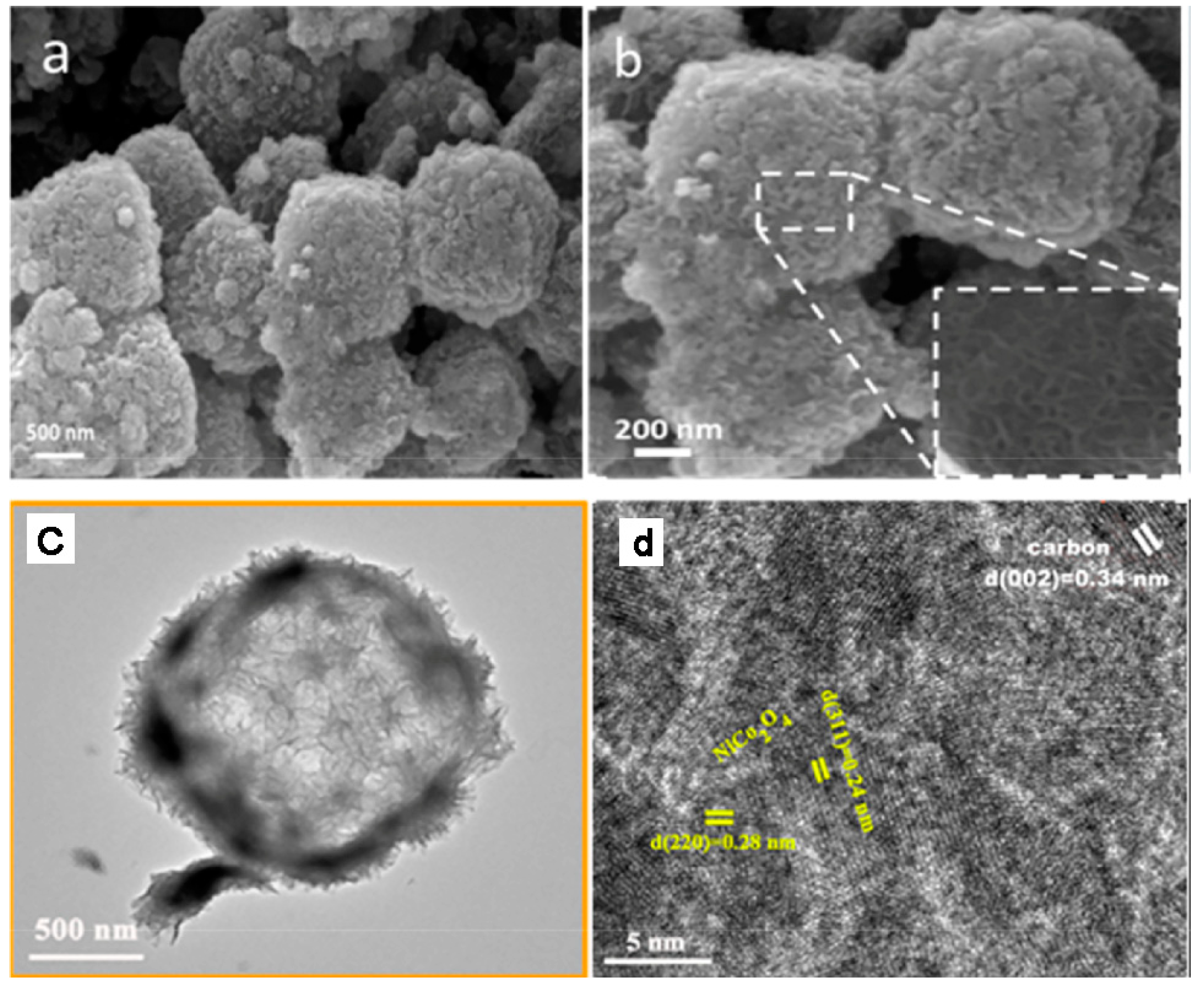 Surfaces 05 00025 g006