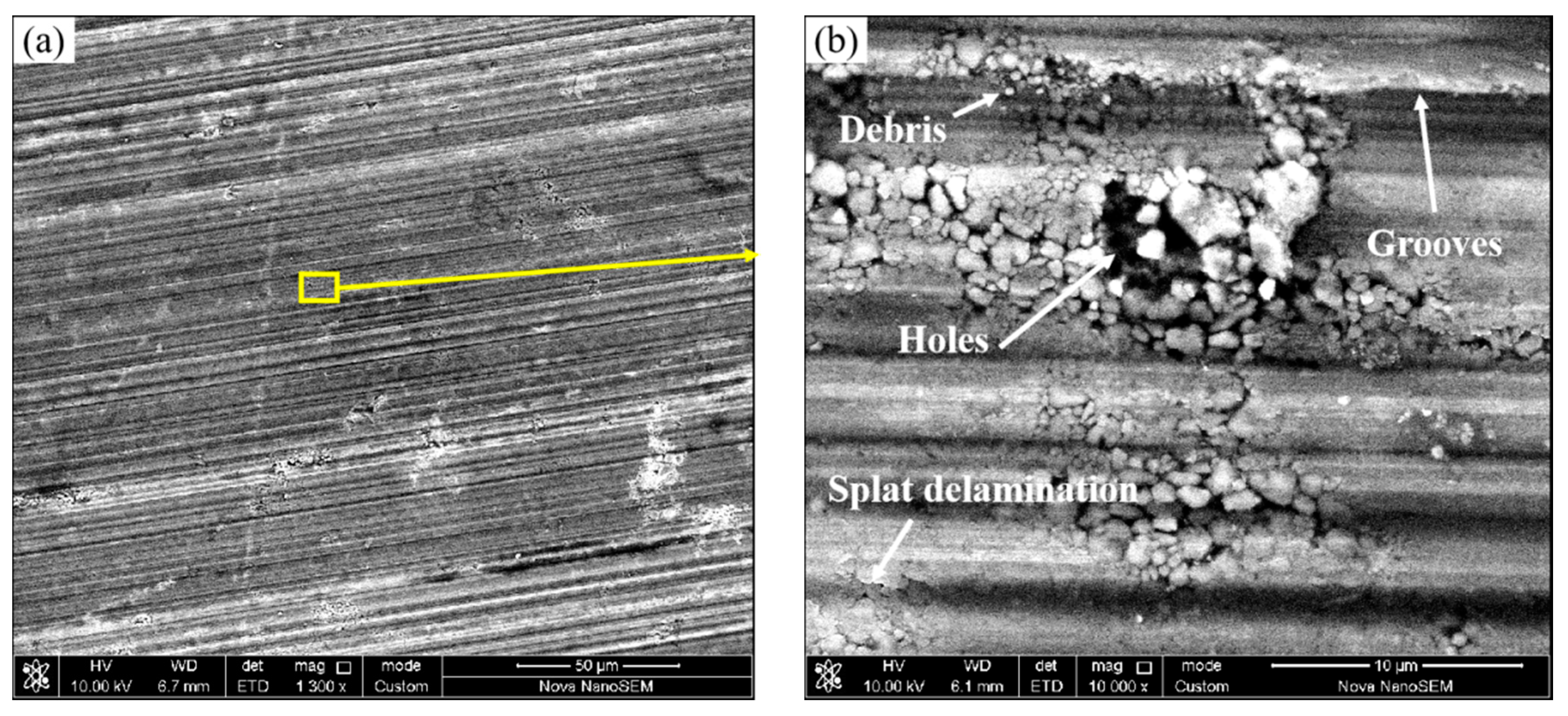 Surfaces 05 00026 g010