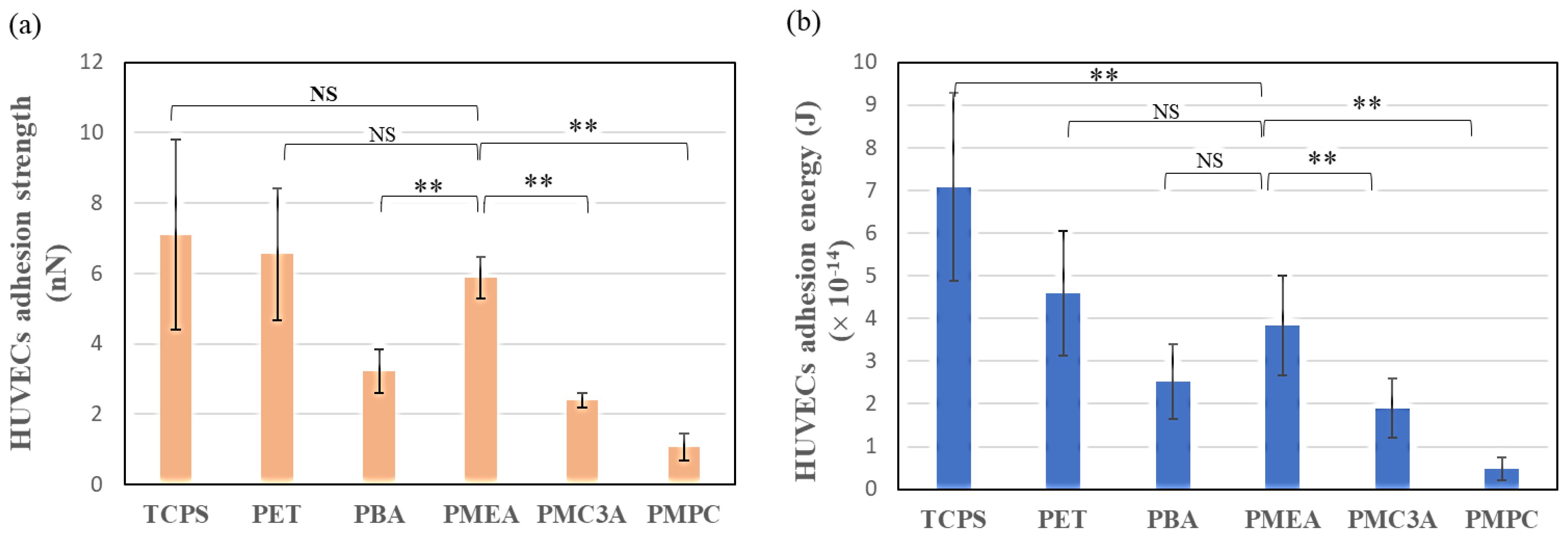 Surfaces 05 00027 g004