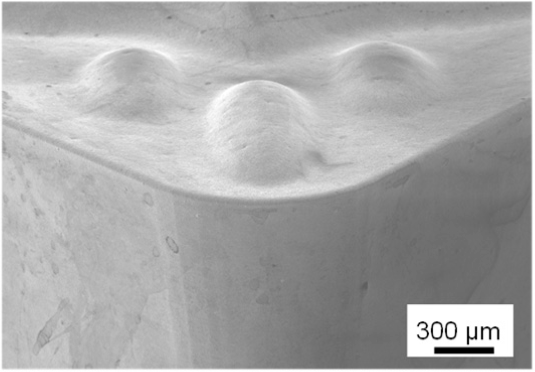 Surfaces 05 00029 i003