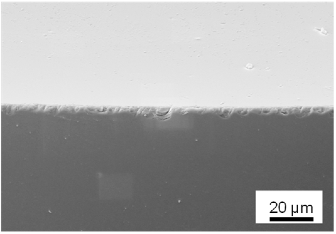 Surfaces 05 00029 i004