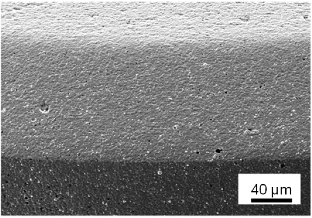 Surfaces 05 00029 i005