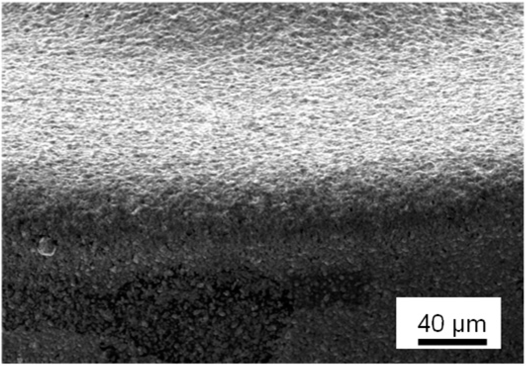 Surfaces 05 00029 i006