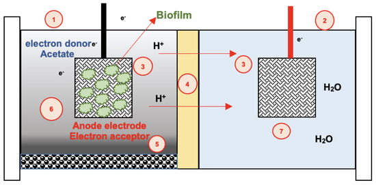 Revisiting Current Trends in Electrode Assembly and