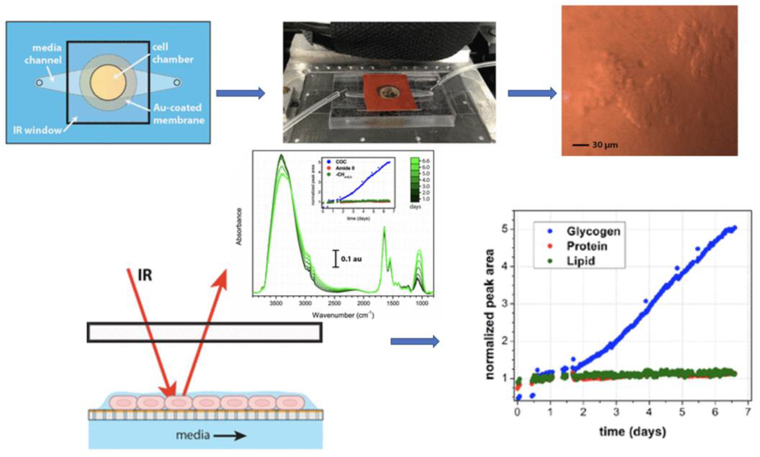 Surfaces 06 00002 g011