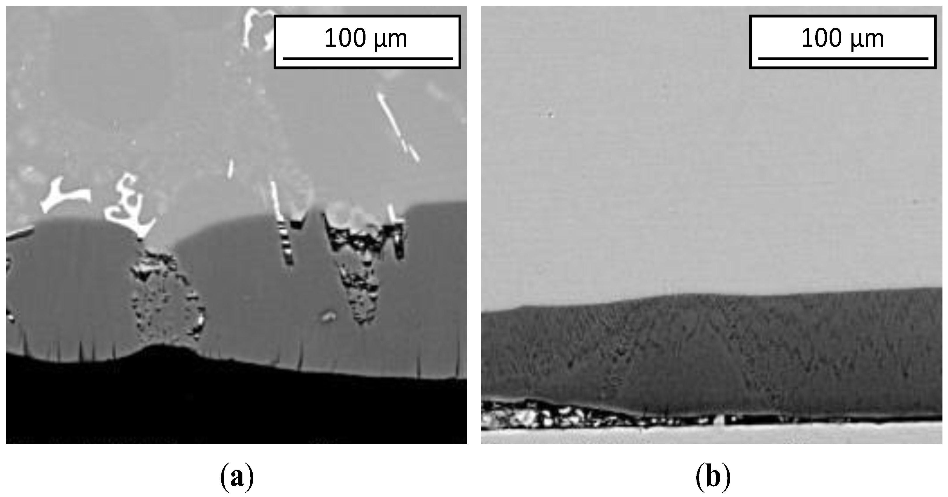 Surfaces 06 00008 g002 Surfaces 06 00008 g002