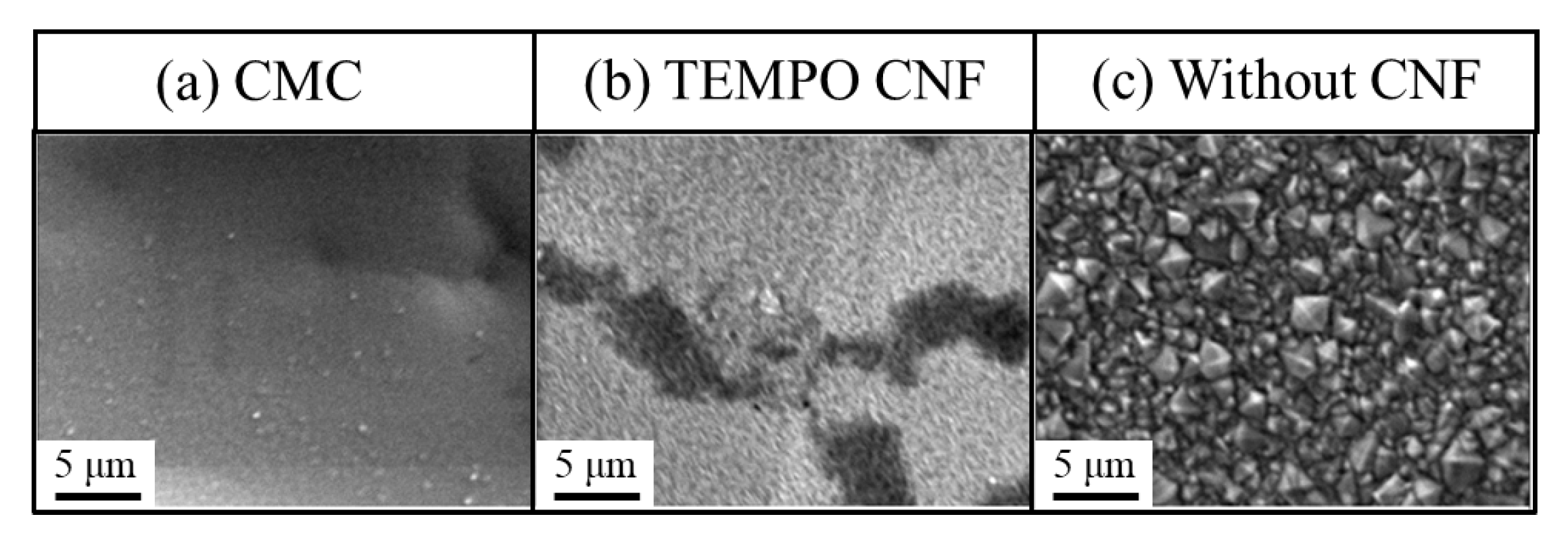 Surfaces 06 00012 g008 Surfaces 06 00012 g008