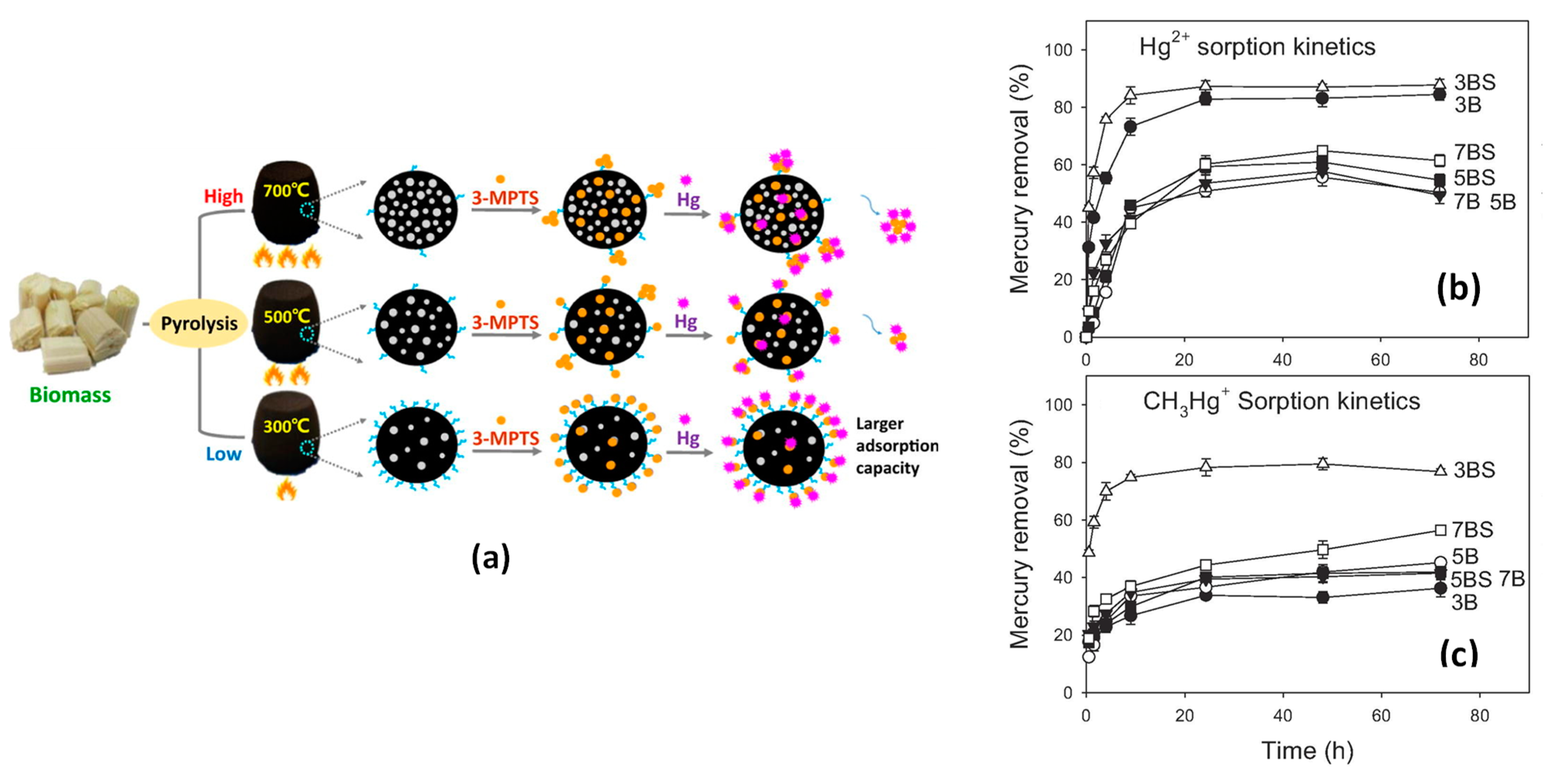 Surfaces 06 00013 g006 Surfaces 06 00013 g006