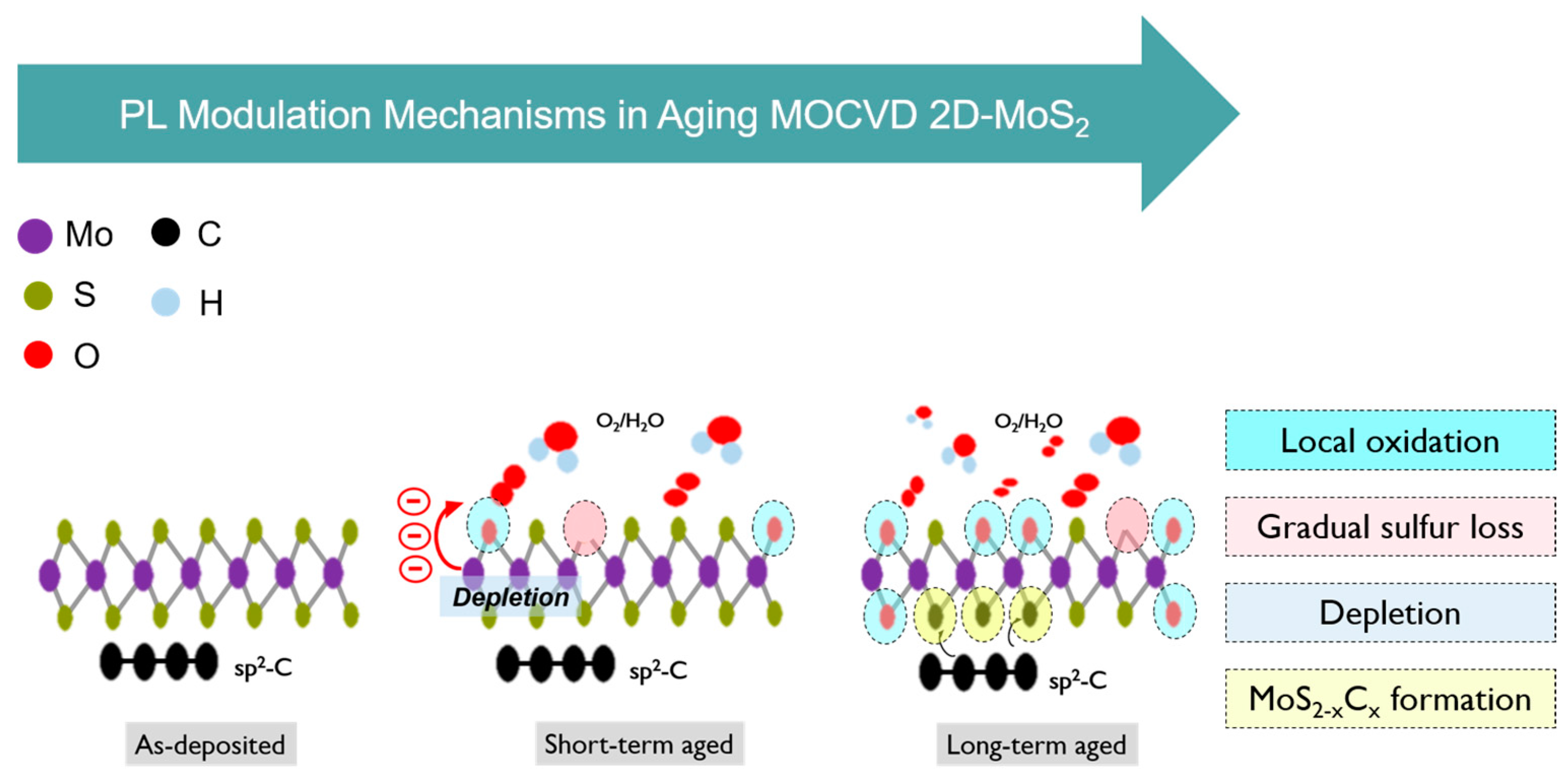 Surfaces 06 00025 g005
