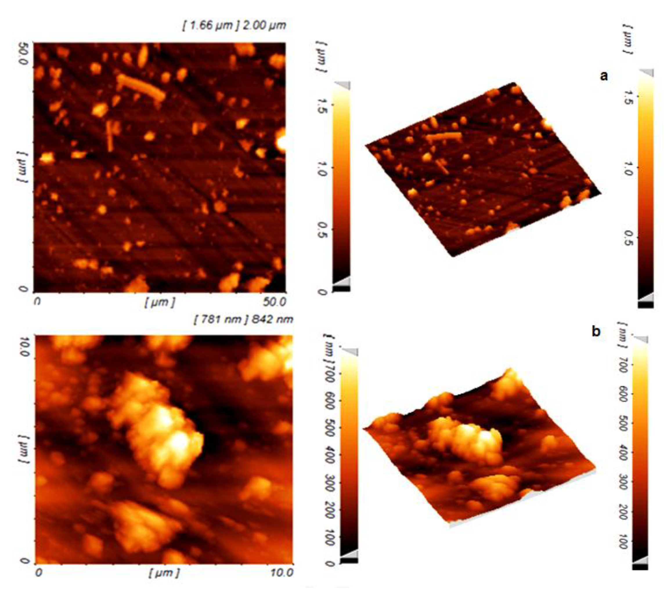Surfaces 06 00027 g010