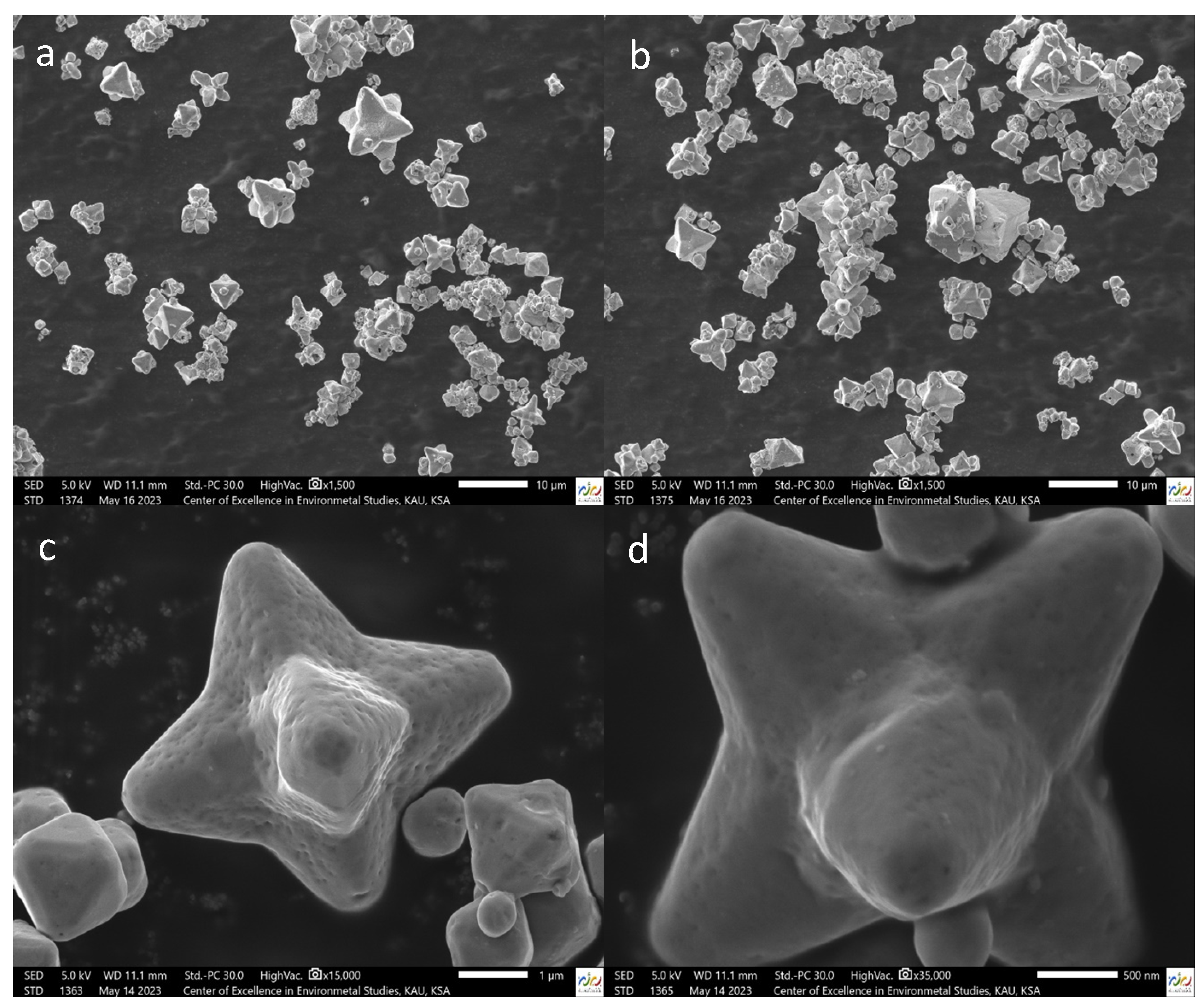 Surfaces 06 00029 g005 Surfaces 06 00029 g005