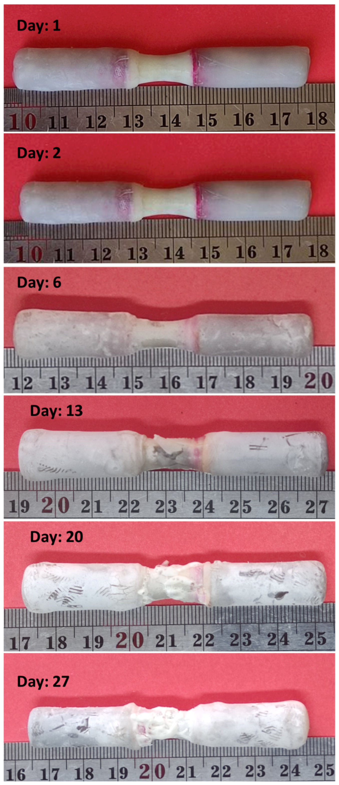 Surfaces 07 00007 g003