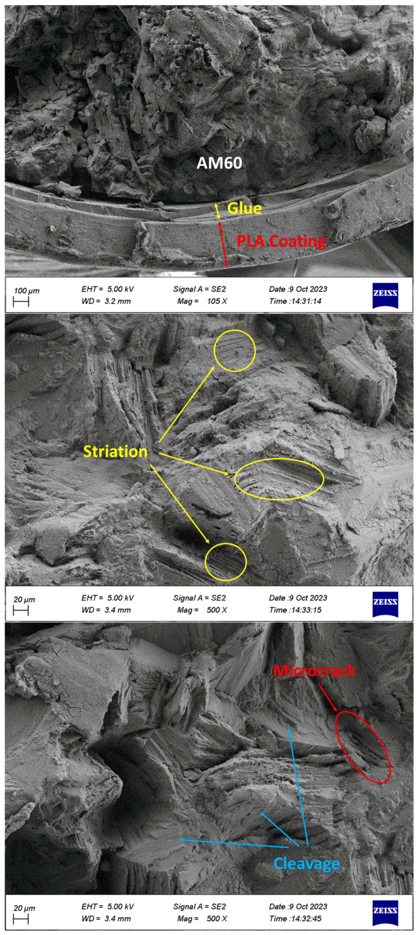 Surfaces 07 00007 g009