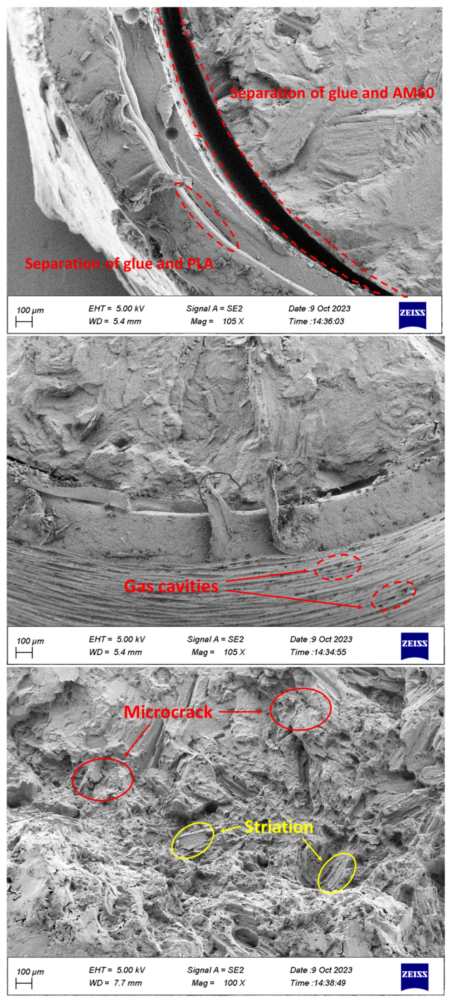 Surfaces 07 00007 g010