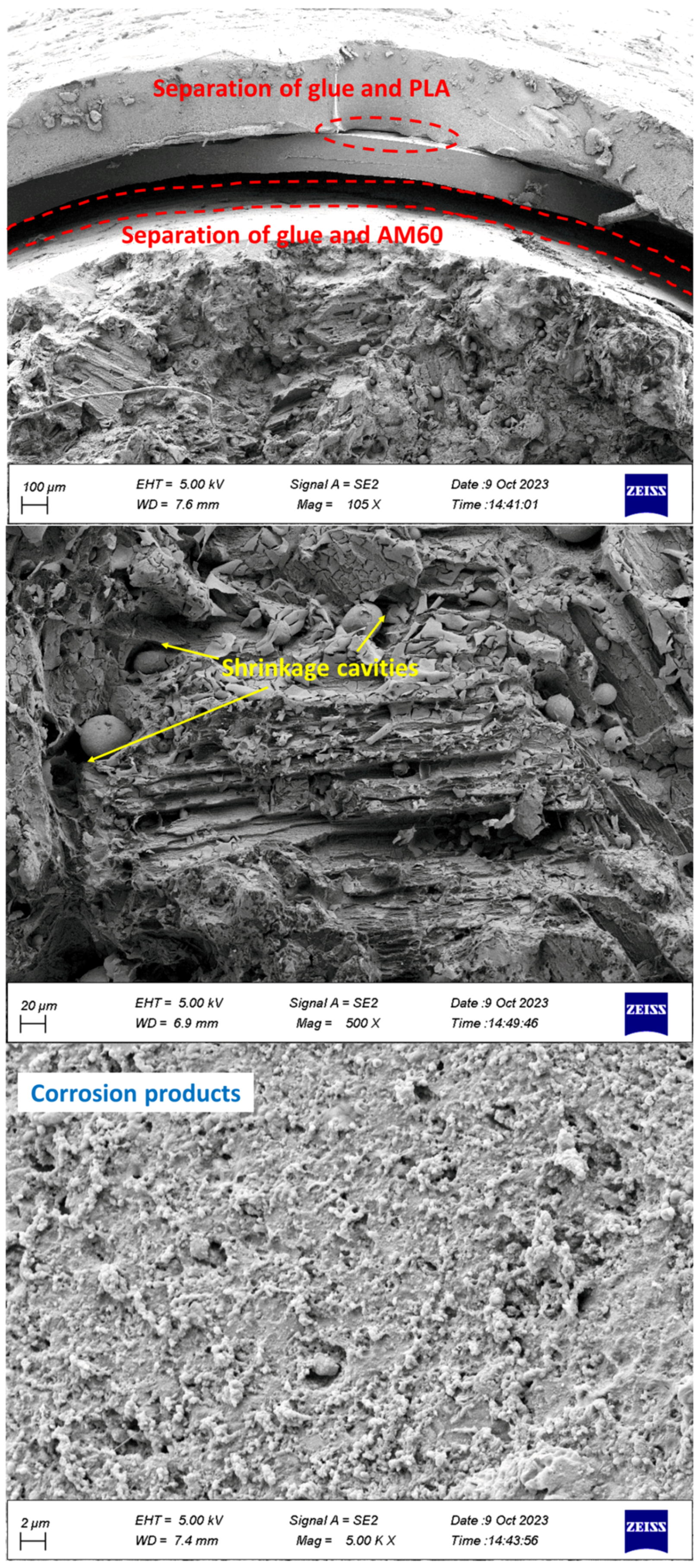 Surfaces 07 00007 g011